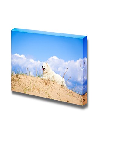 Samoyed Dog