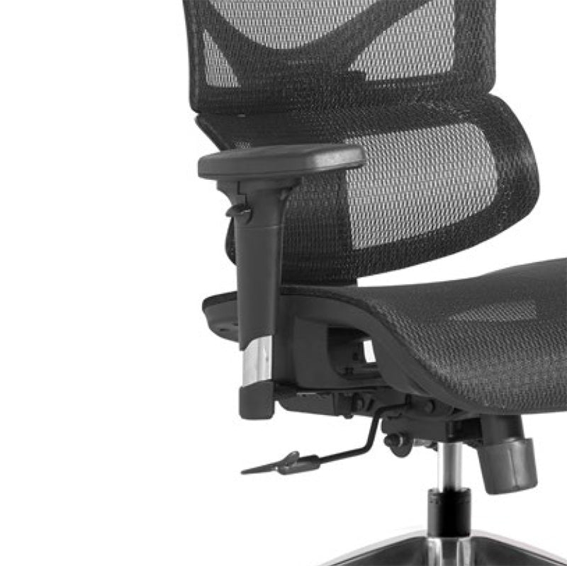BIRGER Executive Office Chair with Headrest - Ergonomic High Back Desk Chair for Home & Office - Adjustable Lumbar Support - Black (Perfect for Long Work Hours & Gaming)
