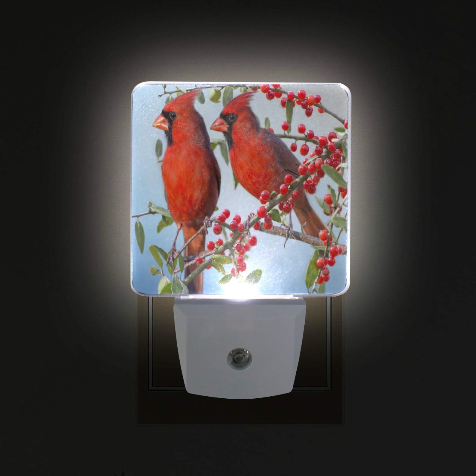 Vikko 2 Pack LED Night Light with Dusk to Dawn Sensor - Winter Red Cardinals Birds Plug-in Nightlight for Bedroom, Living Room, Hallway | Energy Efficient Kids & Adults Night Lamp for Home Decor, Nursery, Bathroom Safety Lighting
