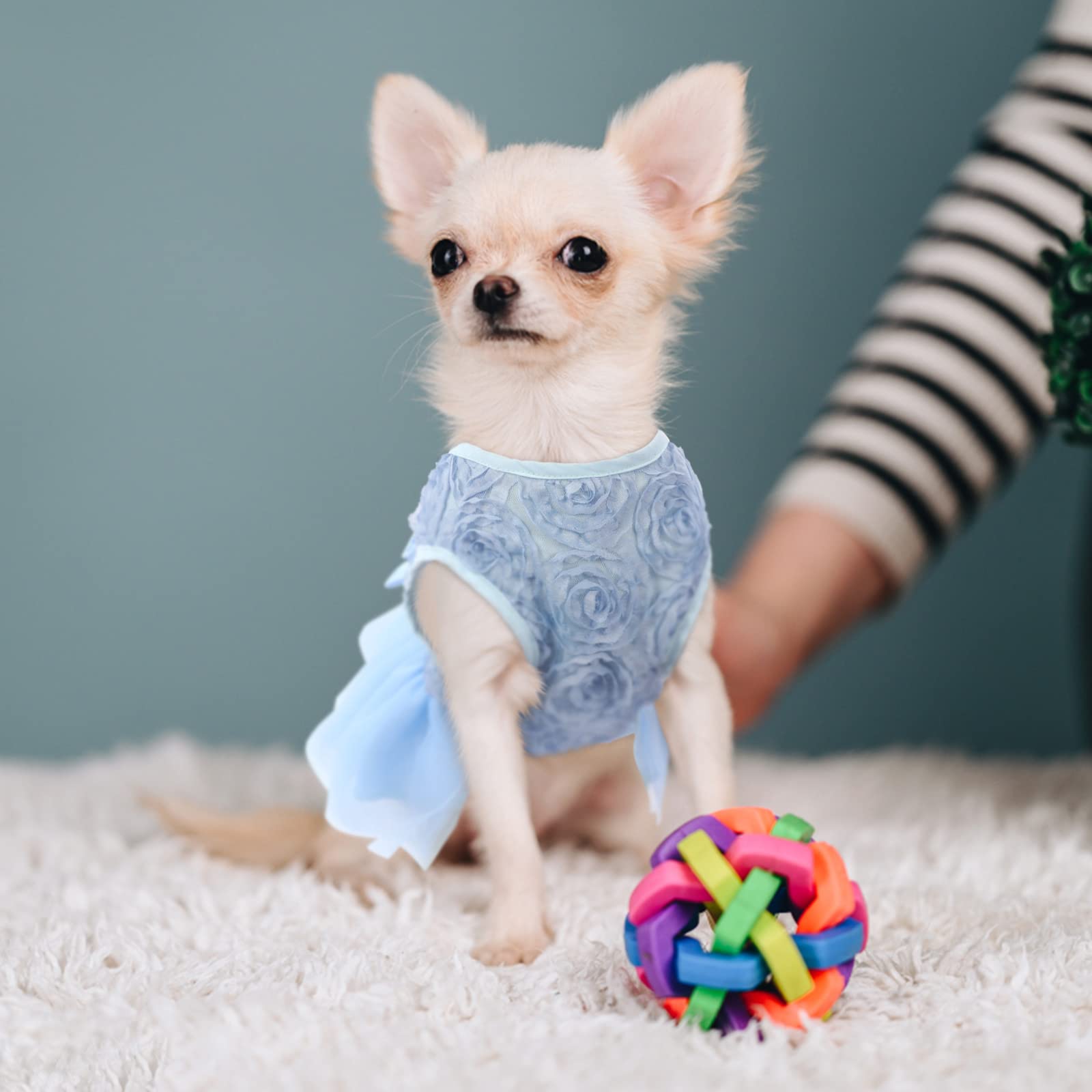 ASENKU Dog Dress - Pet Wedding Dress, Princess Lace Puppy Birthday Party Outfit, Formal Apparel for Small & Medium Dogs & Cats (XX-Small, Blue) - Perfect for Weddings, Birthday Parties & Special Occasions
