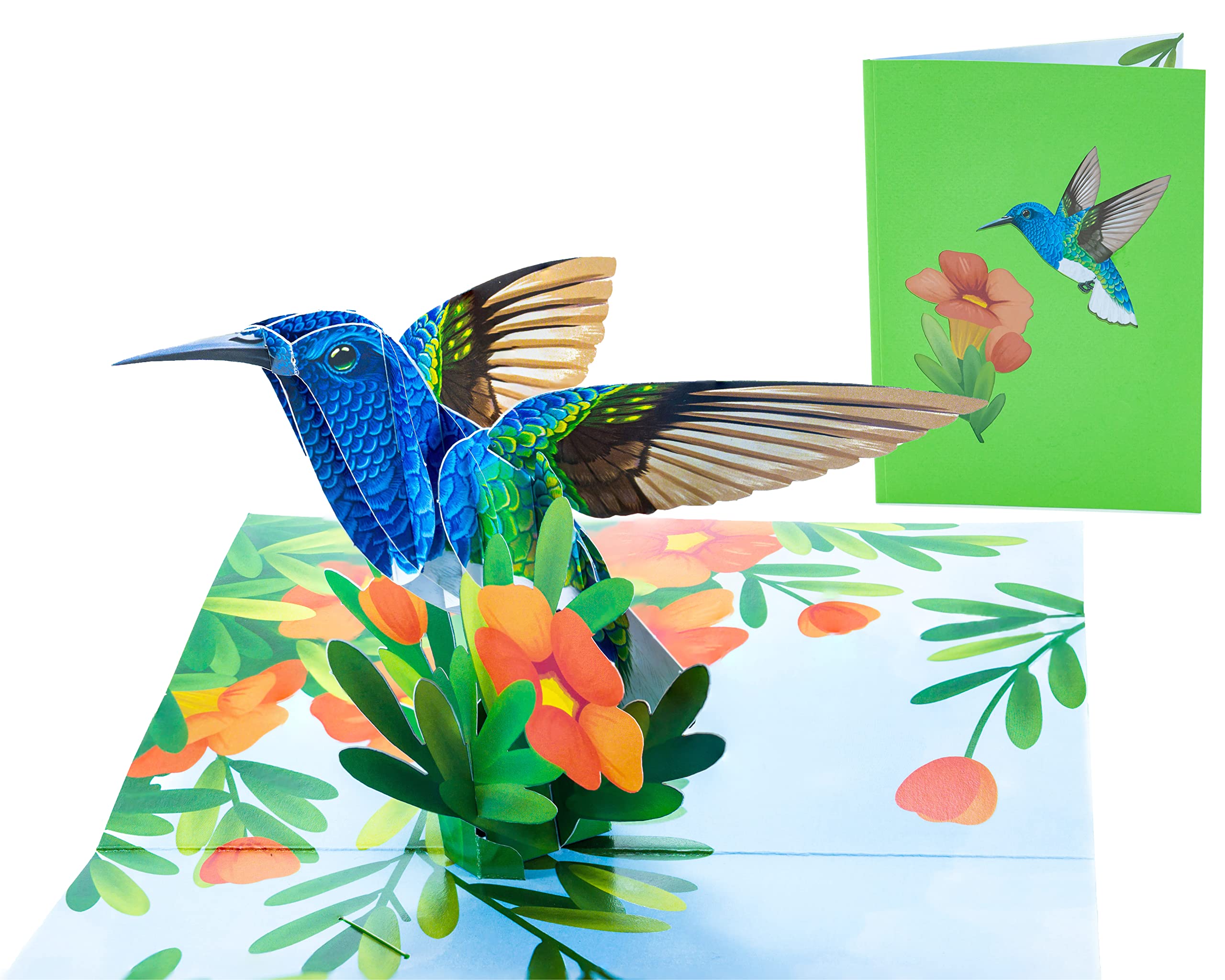 3D Pop Up Hummingbird Greeting Card - Blank Inside for Personalized Messages - Perfect for Love, Birthday, Christmas, Good Luck, Congratulations & Get Well Wishes - Includes Thick Envelope - Great for Gifting, Home Decor & Special Occasions