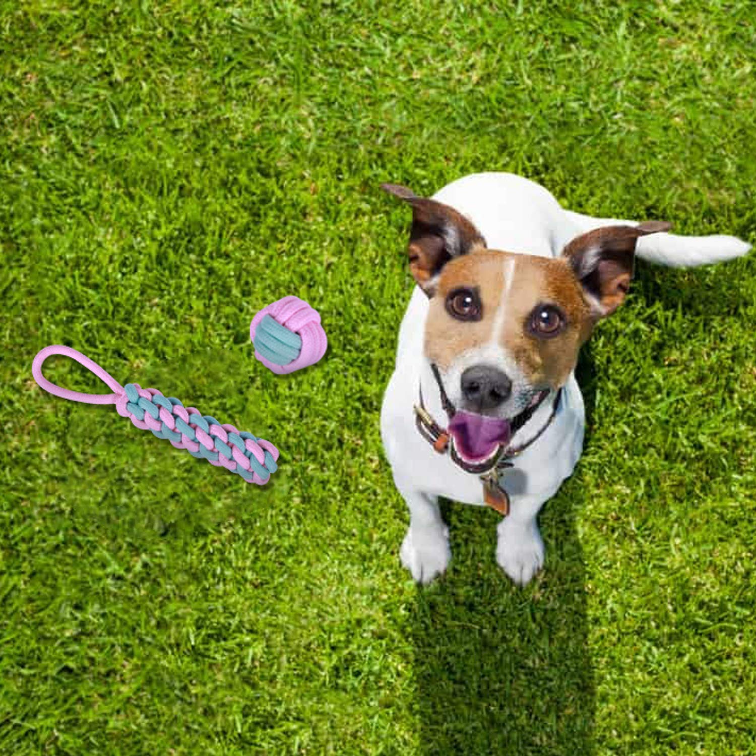 7 Pack Durable Dog Rope Toys - Interactive Chew Toys for Puppies & Dogs, Nearly Indestructible Rope Ball for Aggressive Chewers - Perfect for Fetch, Tug of War & Teeth Cleaning Playtime