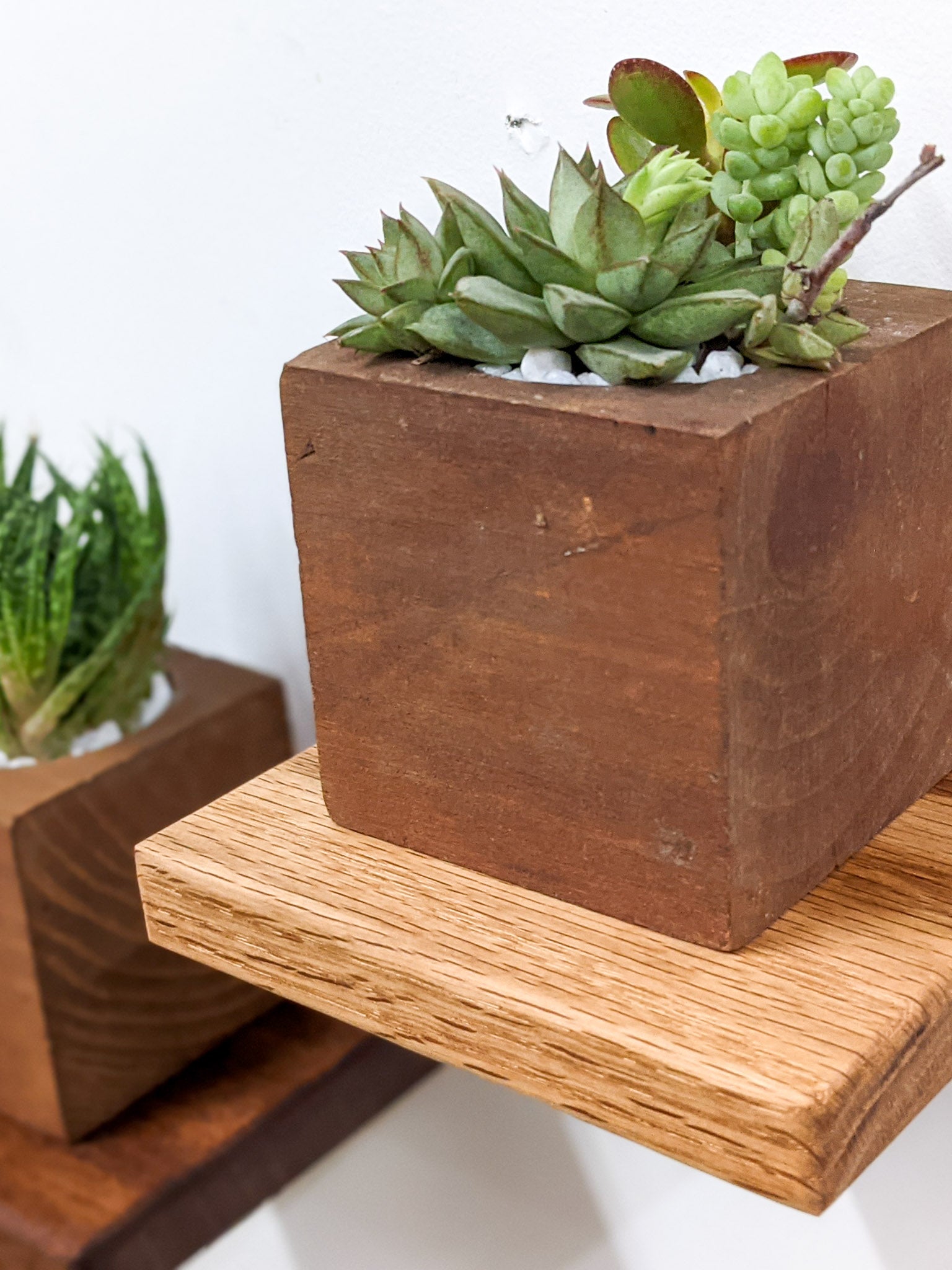 Oak Small Square Display Shelf - Perfect for Home Decor, Retail Stores, and Office Organization