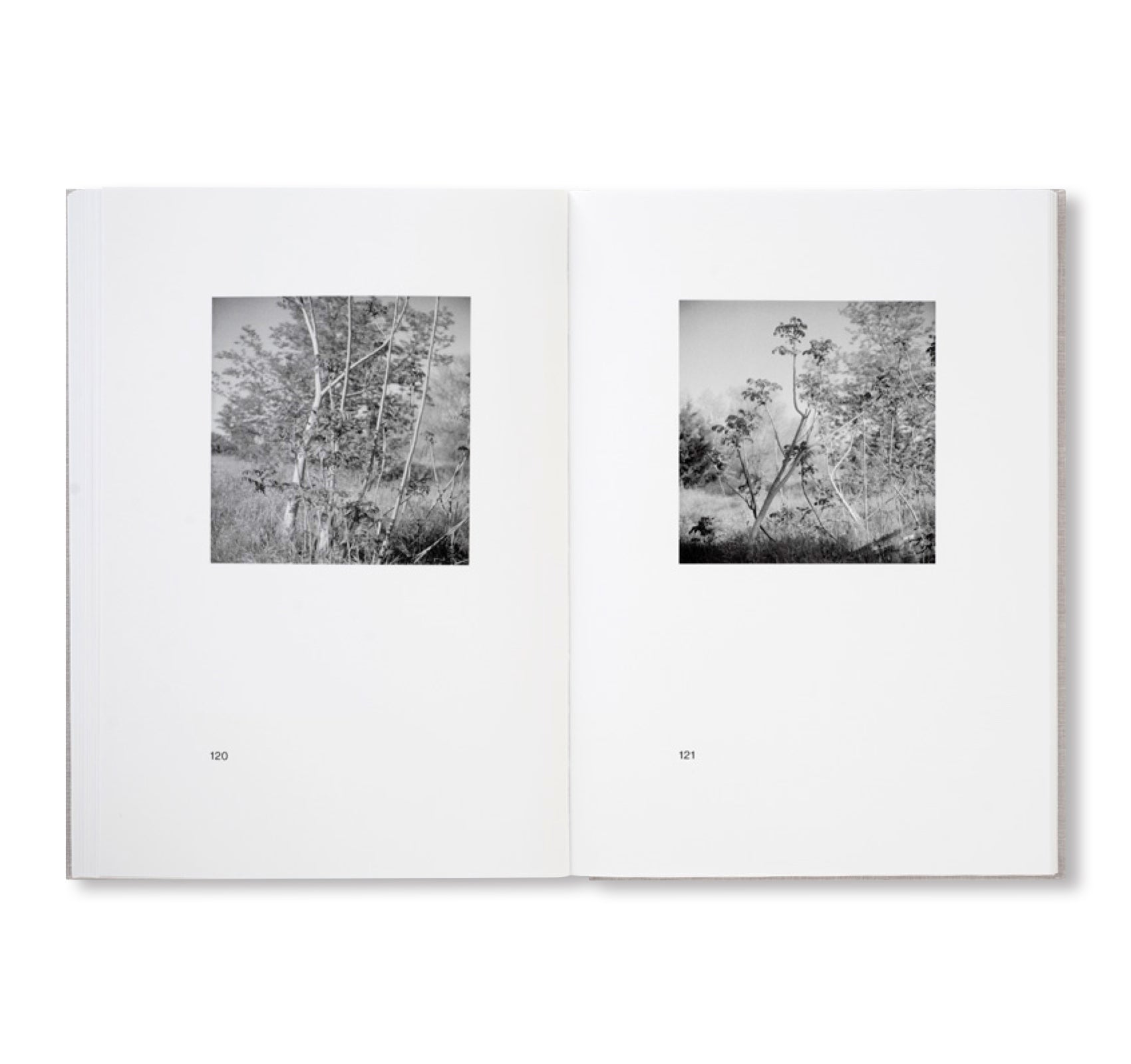 Signed MELONI MELONI Book by Gerry Johansson - Photography Art Collection for Home Decor & Coffee Table Display