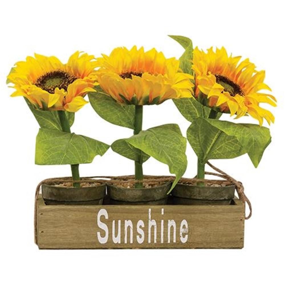 3-Pack Potted Sunflowers in Wooden Crate - Fresh Home Decor for Living Room, Kitchen & Office