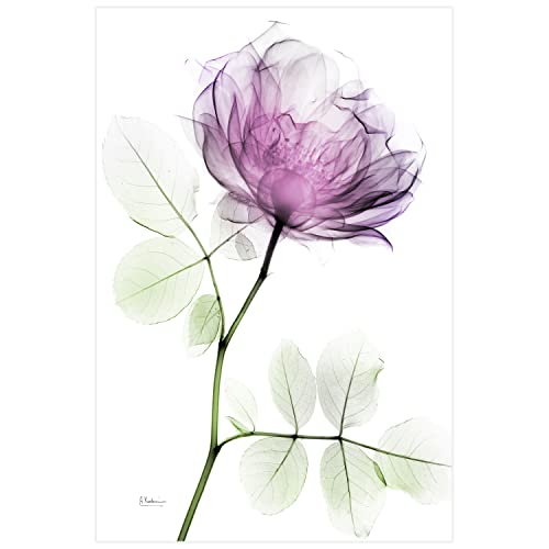 Rose Dynasty I