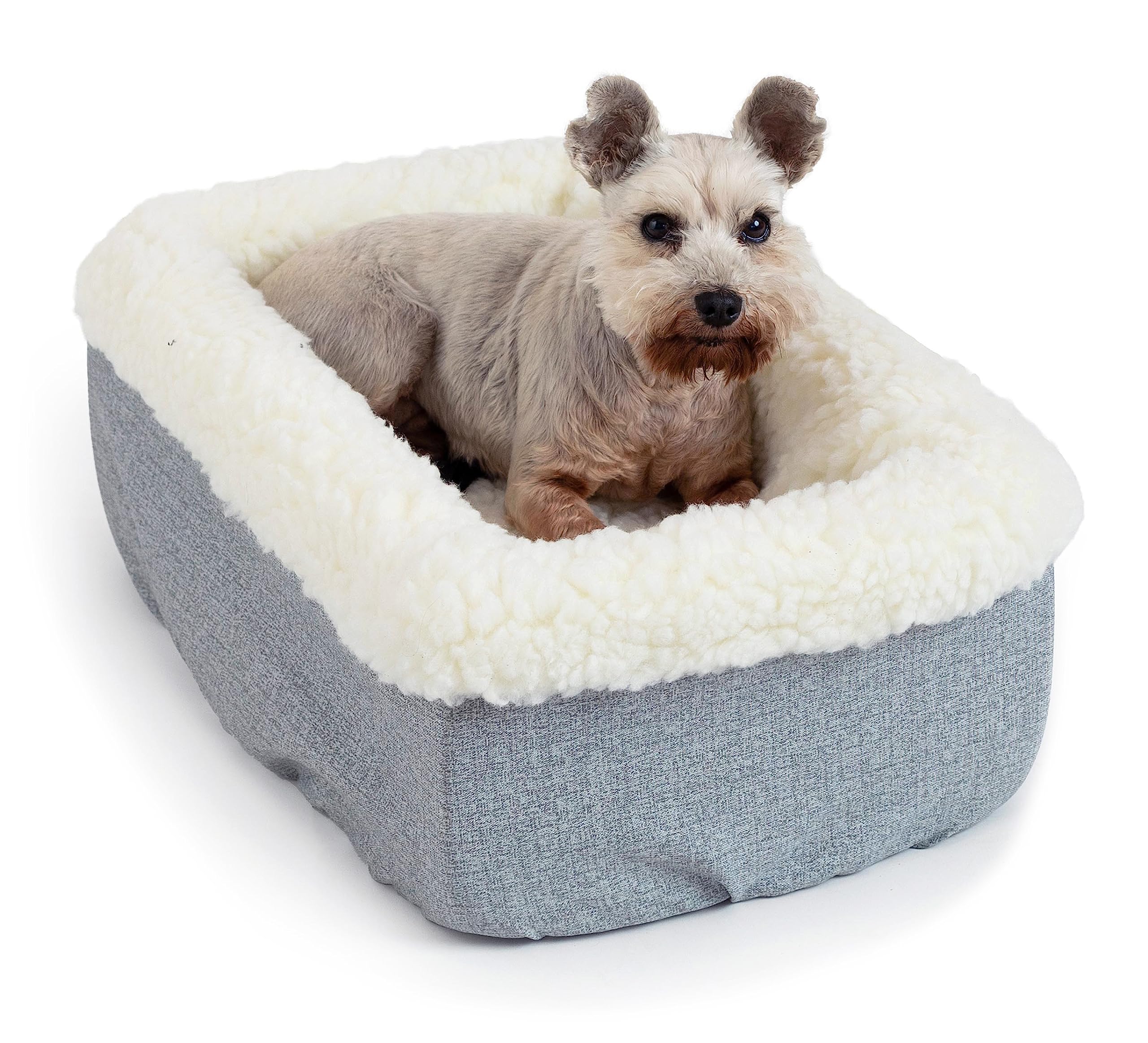 Snoozer Large Console Dog Car Seat - Travel Pet Bed Carrier for Small Dogs up to 12 lbs | Safe & Calm Car Travel with Seat Belt Harness Strap | Removable Machine Washable Diamond Pattern Cover | Perfect for Road Trips, Vet Visits & Daily Commutes