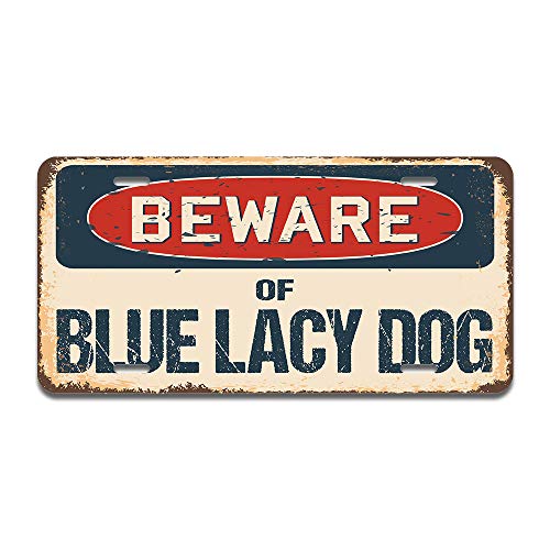 Beware of Blue Lacy Dog