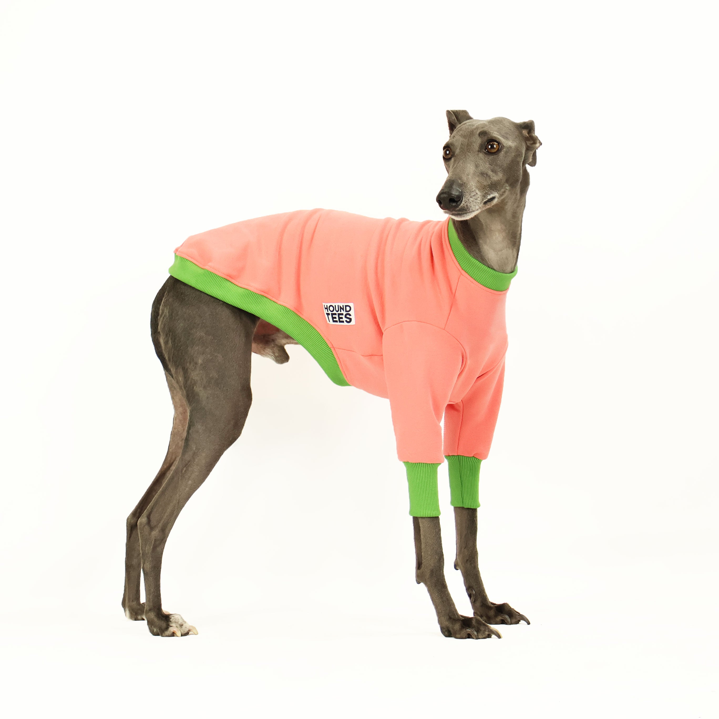 Derp Whippet Dog Sweater - Cozy Knit Winter Pullover for Small & Medium Dogs - Perfect for Cold Weather Walks & Indoor Lounging