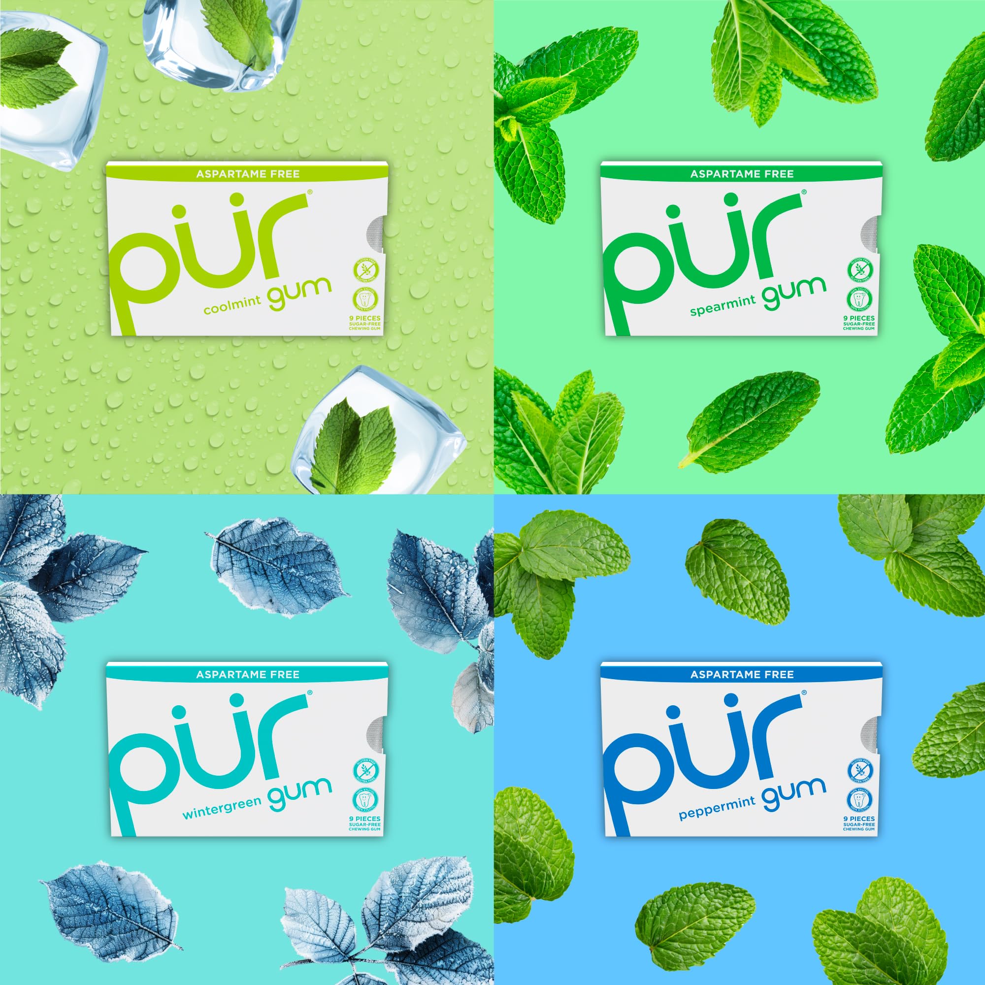 **PUR Gum Aspartame Free Chewing Gum - 100% Xylitol, Natural Flavors, Variety Pack (9 Pieces, Pack of 8) - Fresh Breath for Workouts, Travel & Daily Use**
