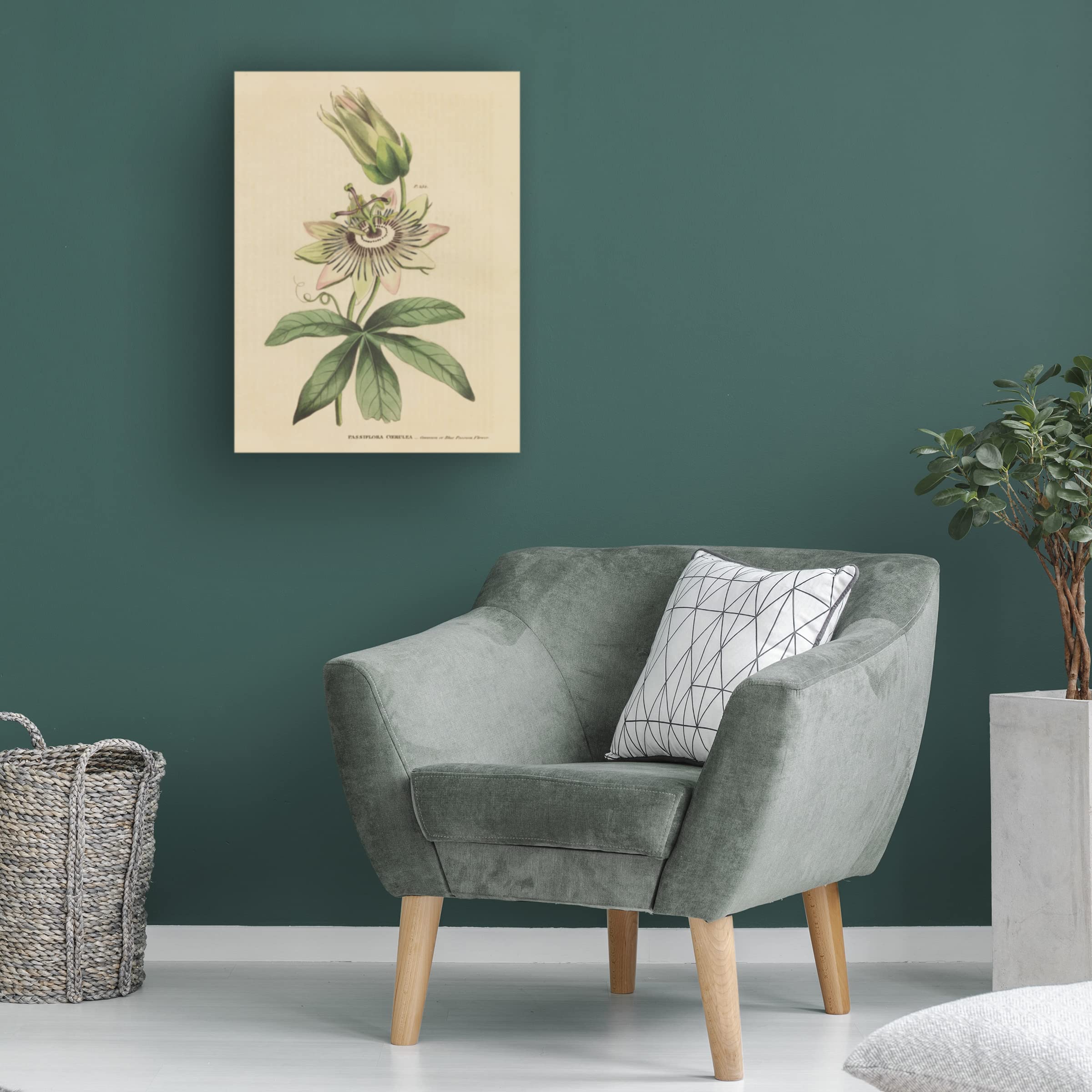 Trademark Fine Art 'Herbal Botanical XXI' Canvas Wall Art Print by Wild Apple Portfolio - Perfect for Living Room, Bedroom & Office Decor