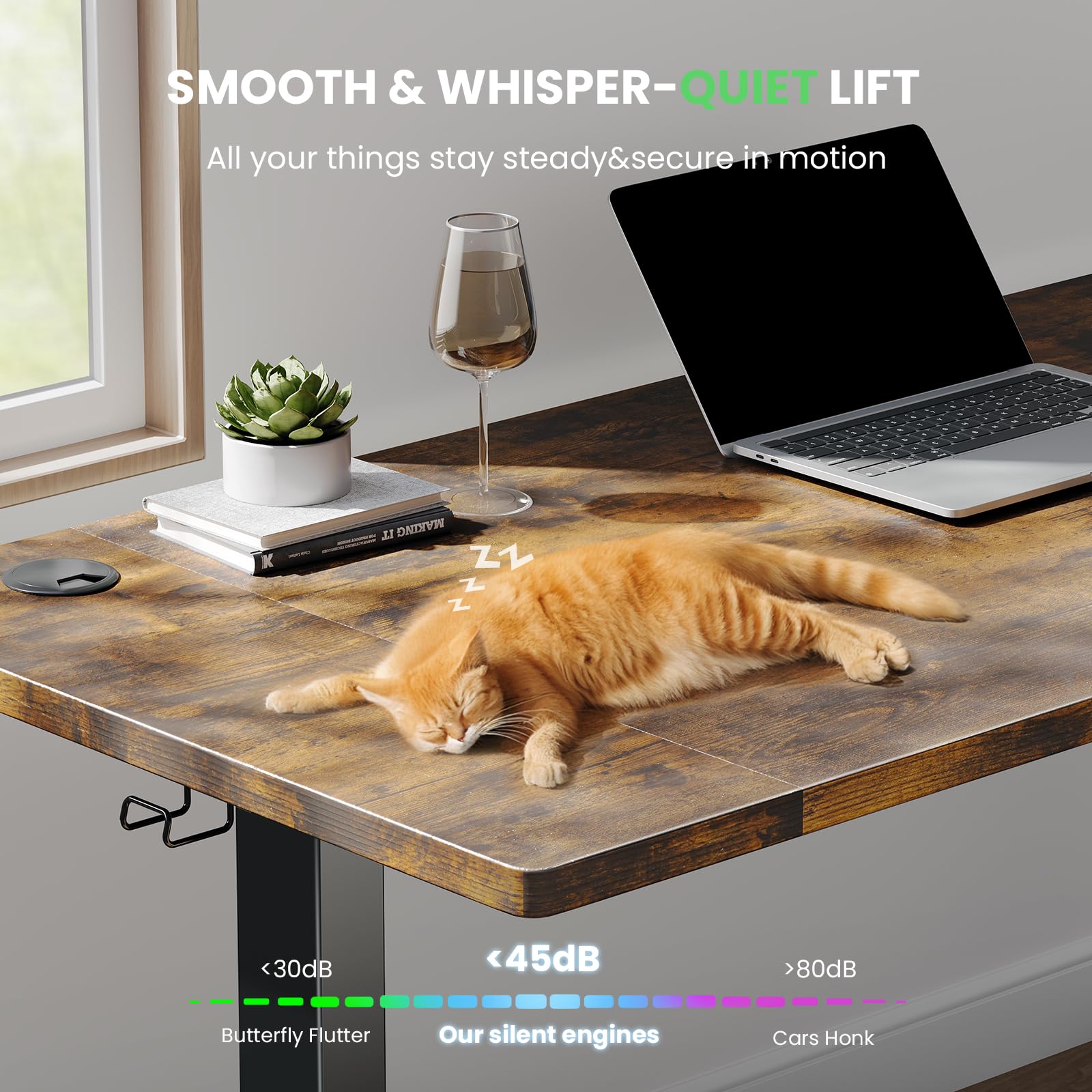 SIAGO 48 x 24 Inch Electric Standing Desk - Adjustable Height Sit Stand Desk with 3 Memory Presets & Cable Management - Perfect for Home Office, Gaming Setup & Workspace Ergonomics