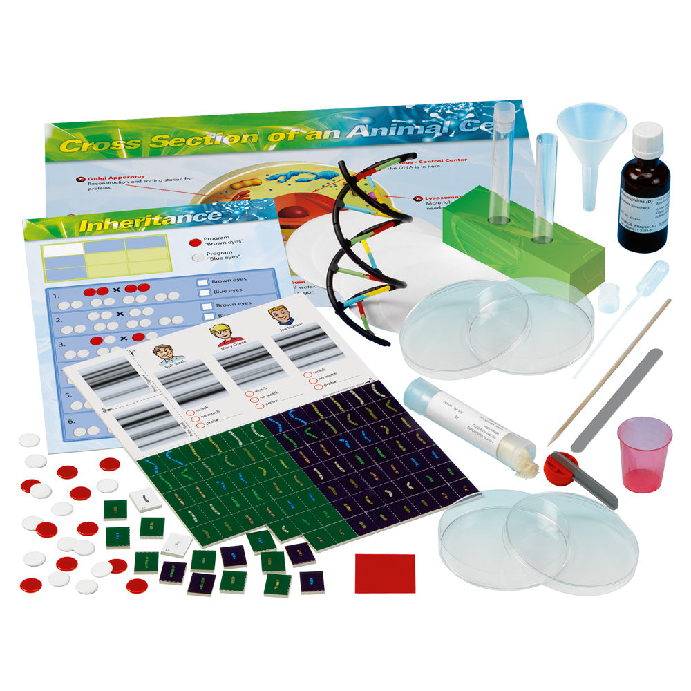 Genetics & DNA Science Kit for Kids - STEM Educational Lab Experiment Set for Home & Classroom Learning | Explore DNA Extraction & Genetic Concepts