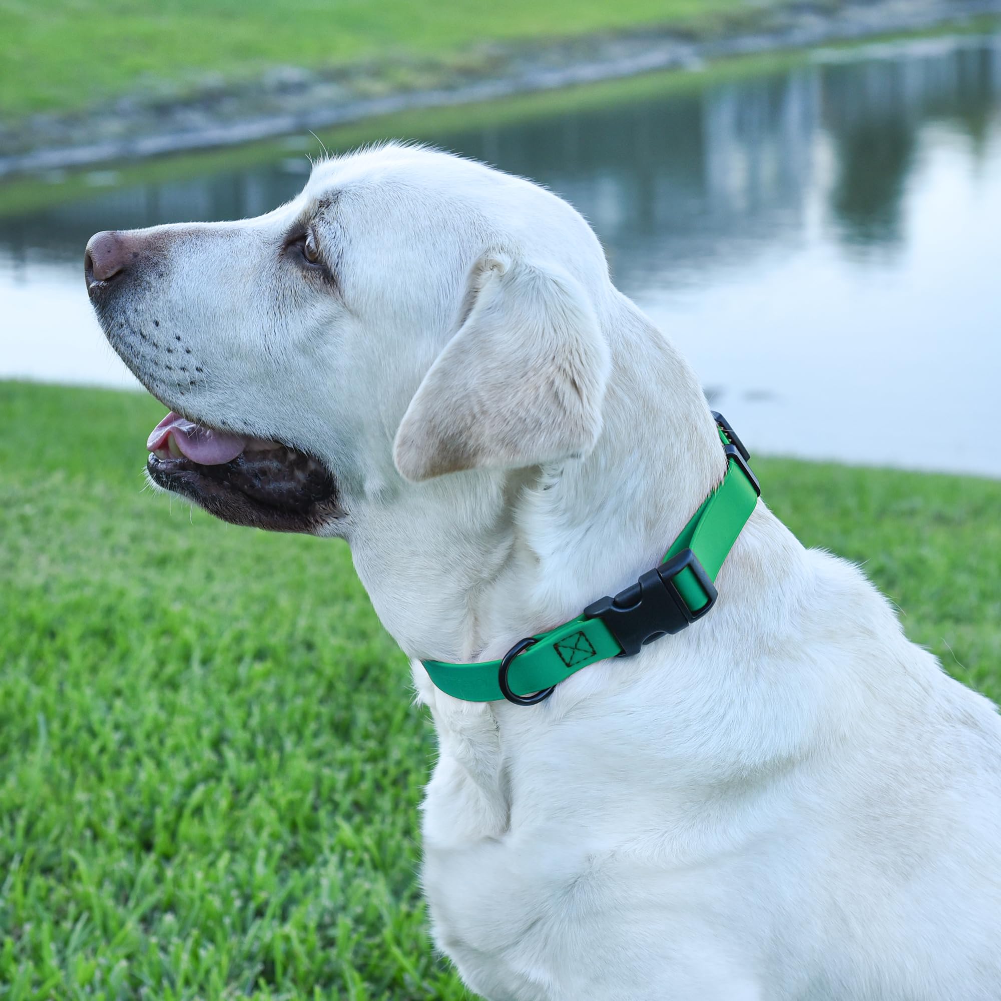**Waterproof Biothane Dog Collar with Quick Release Buckle - Odor-Proof & Easy to Clean - Strong Coated Nylon Webbing for Small, Medium & Large Dogs (Teal, 1