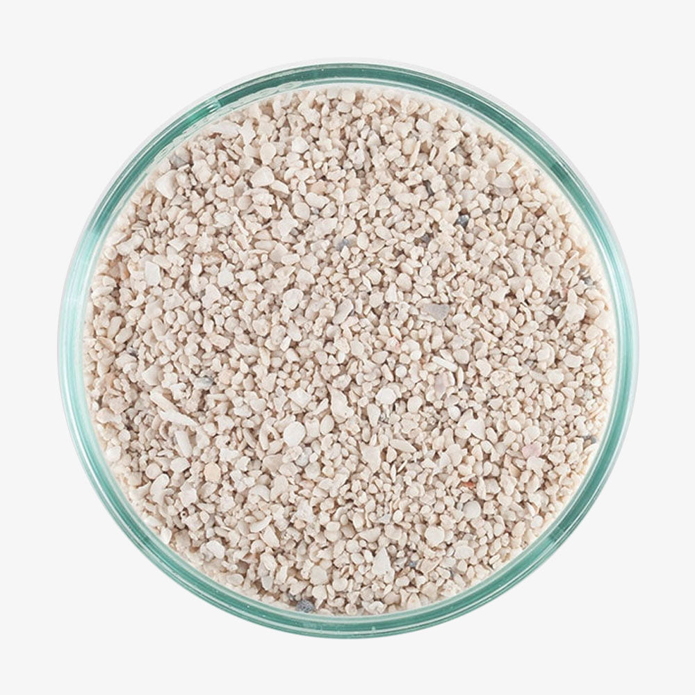 Premium Arag Alive Special Grade Reef Sand - 20 lb. Bag for Saltwater Aquariums | Ideal for Coral Growth & Marine Life Habitat | Perfect for Reef Tanks & Fish Tanks