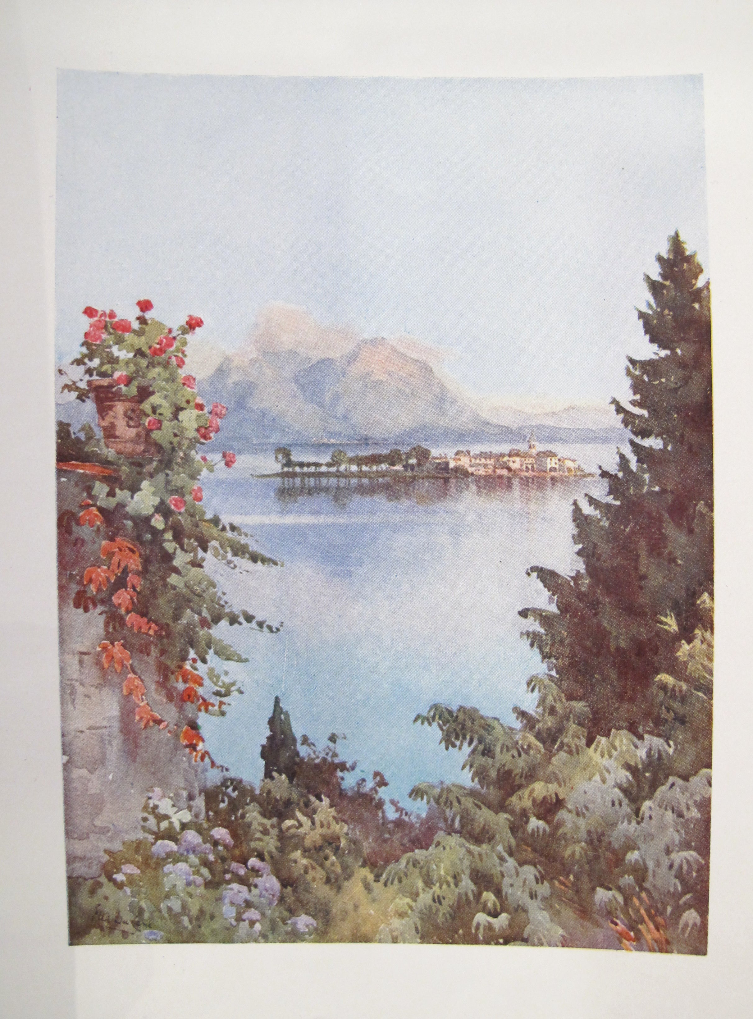1905 Original Italian Print - Vintage Italian Travel Color Plate - A Garden at Baveno, Lago Maggiore - Perfect for Home Decor, Art Collectors & History Enthusiasts