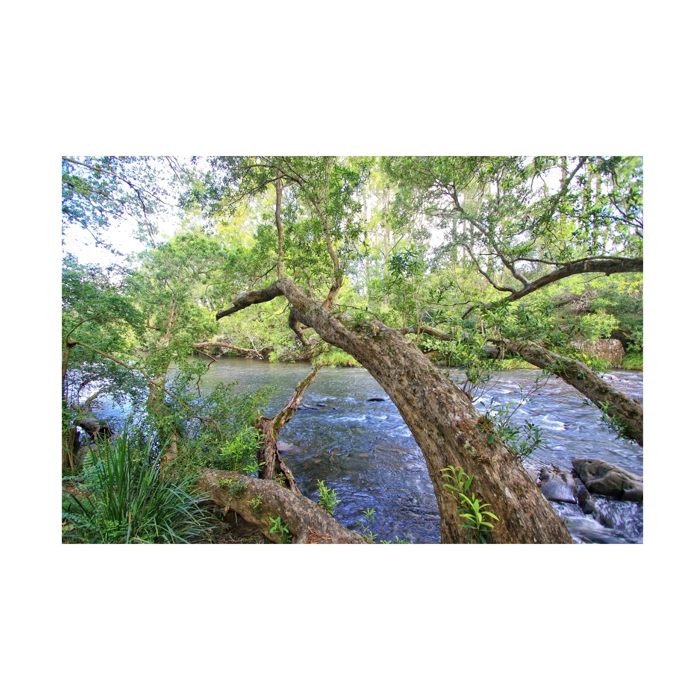 Trademark Fine Art 'Summer Greens 2' Canvas Wall Art by Beata Czyzowska | Modern Abstract Landscape Painting | Perfect for Living Room, Bedroom & Office Decor