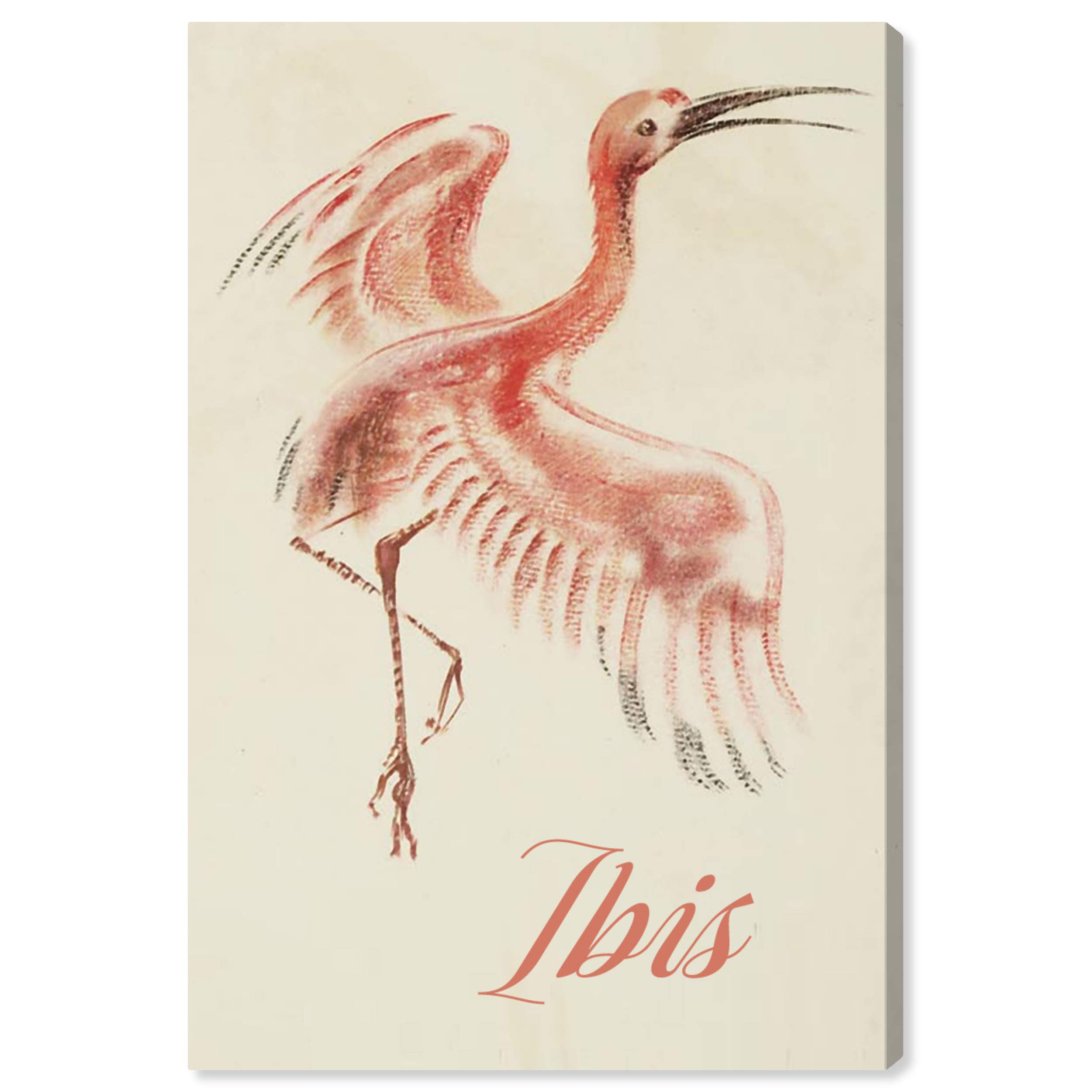 Oliver Gal Artist Co. 'Ibis' Pink & White Animal Wall Art Canvas Print - 30