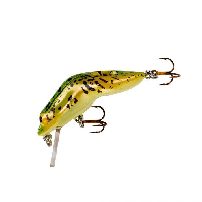 Northern Leopard Frog