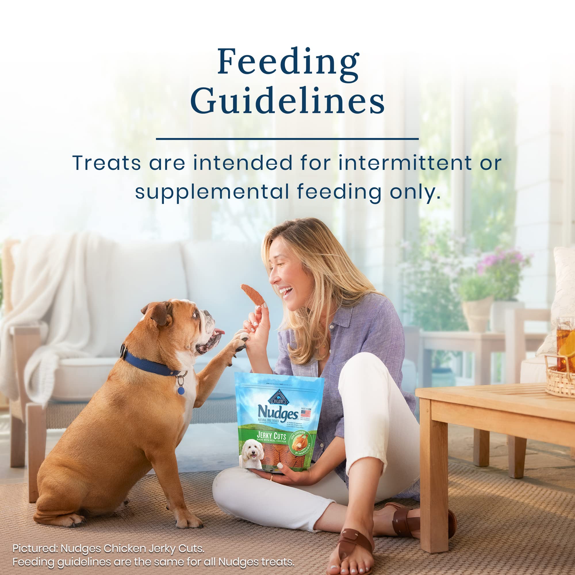Blue Buffalo Nudges Natural Dog Treats - Chicken Flavor Jerky Cuts for Training & Rewards | Grain-Free, Healthy Snacks for Small & Large Dogs | Perfect for Outdoor Adventures & Playtime