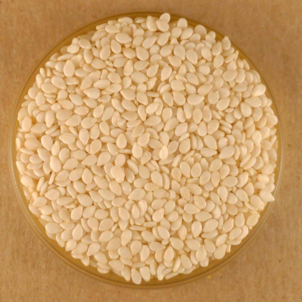 Premium White Sesame Seeds - 50 lbs Bulk for Baking, Cooking & Healthy Snacks | Non-GMO, High-Quality Natural Seeds for Tahini, Bread & Salad Toppings