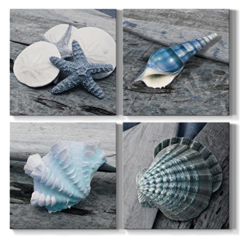 Driftwood Shell 2