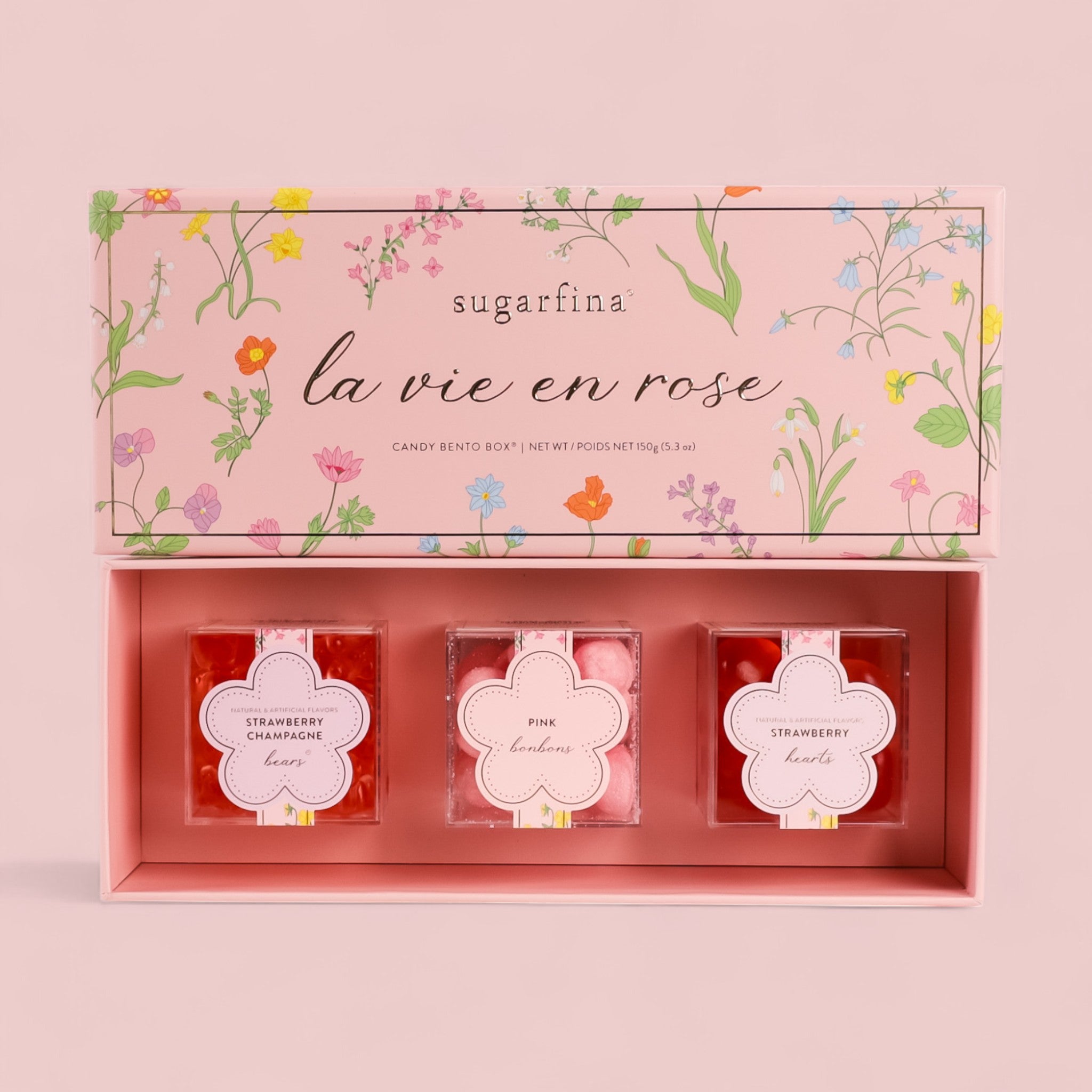 La Vie En Rose Candy Bento Box - Aesthetic Pink Lunch Box for Kids & Adults | Perfect for School, Work, Picnics & Parties