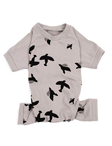 Bird Grey