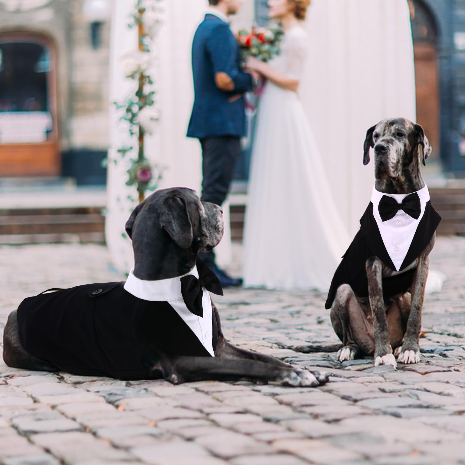 Premium Dog Tuxedo for Large Dogs - Formal Canine Suit with Bow Tie & Bandana Set | Wedding, Halloween, Christmas & Birthday Party Costume | Black Tuxedo Outfit for Dogs - Perfect for Special Occasions & Photo Shoots