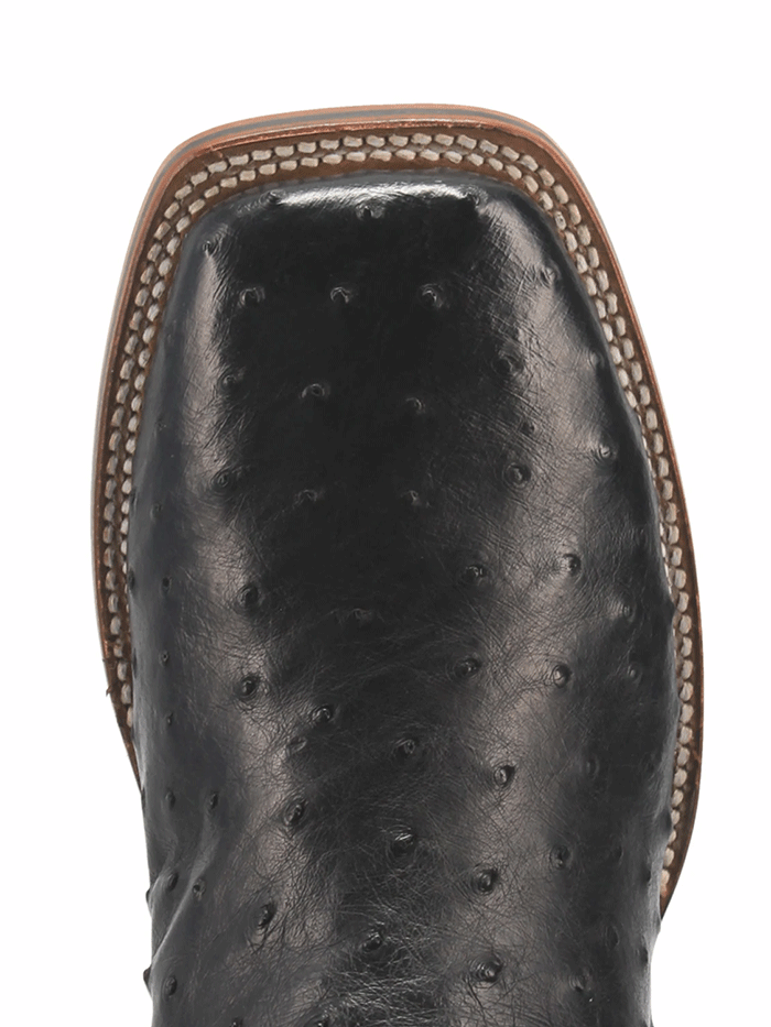Dan Post DP4873 Men's Alamosa Full Quill Ostrich Square Toe Cowboy Boots - Black Western Boots for Riding, Country Fashion & Outdoor Events