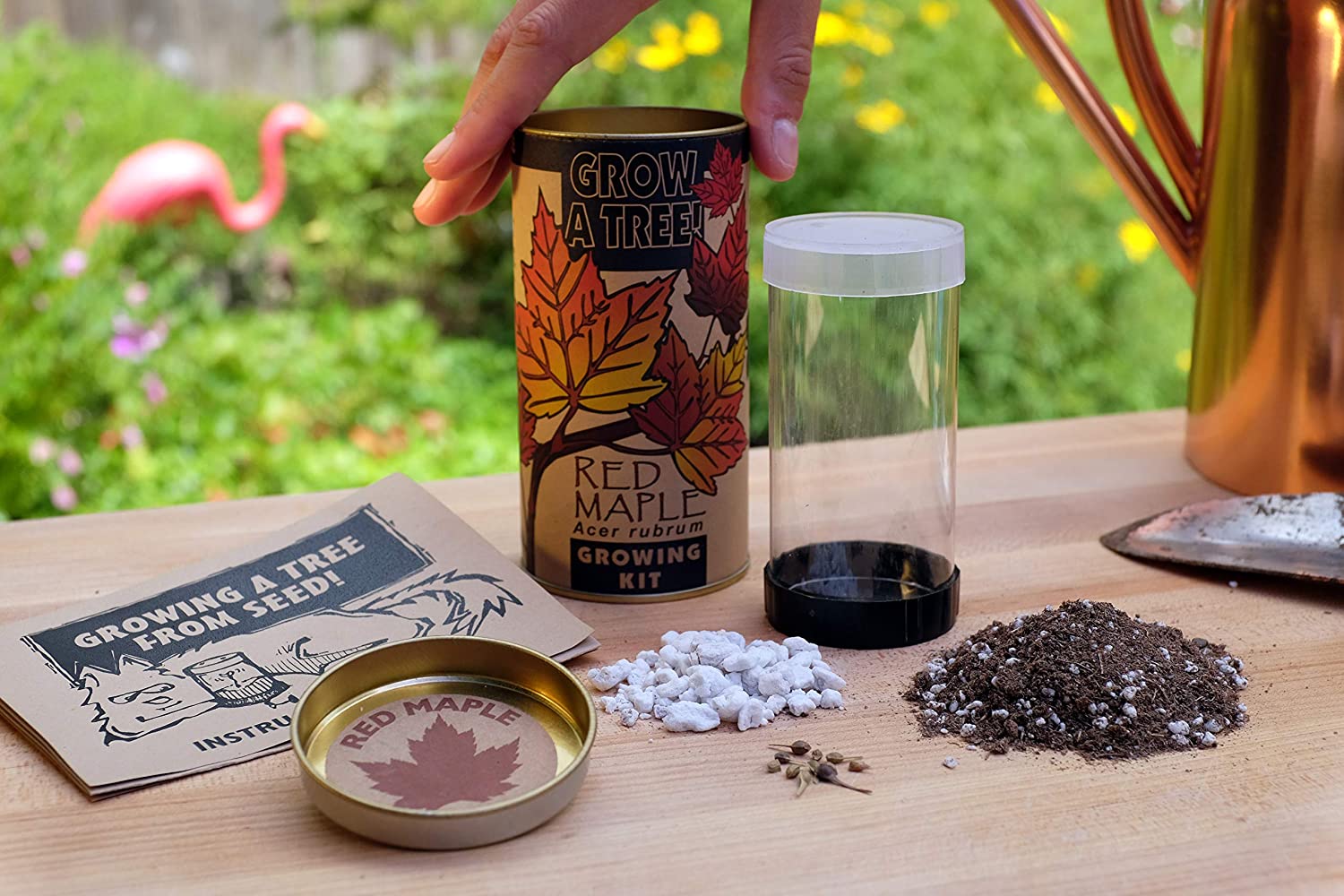 Red Maple Seed Grow Kit - DIY Home Garden Starter Set for Planting & Growing Maple Trees | Perfect for Indoor & Outdoor Gardening, Landscaping, and Nature Lovers