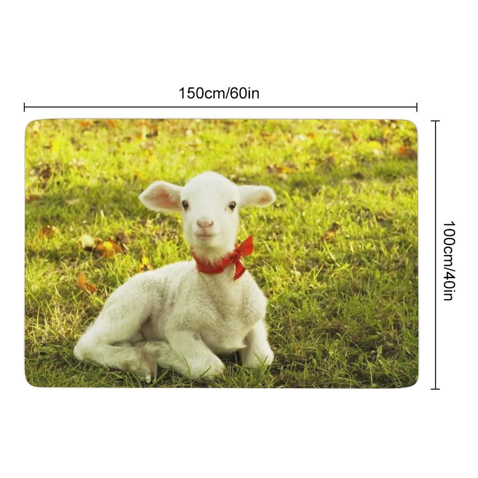 Soft Non-Slip Sheep Goat Animal Print Area Rug - 3x5ft Foldable Kids Floor Mat for Nursery, Bedroom, Playroom & Dorm Decor | Cute Home Accent for Girls & Teens
