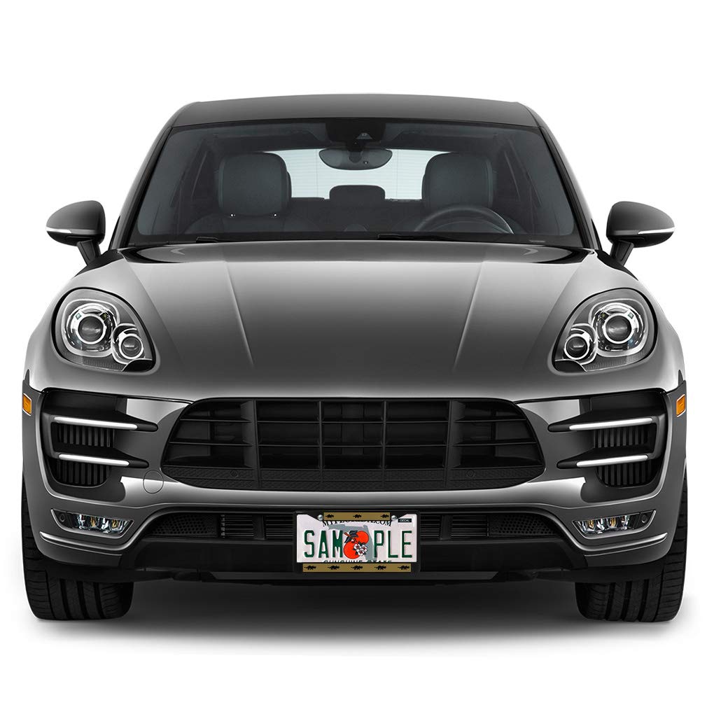 Triceratops Style Metal Insert License Plate Frame - Weatherproof Chrome Car Accessory with 2 Solid Holes | Durable & Stylish for Trucks, SUVs, and Off-Road Vehicles