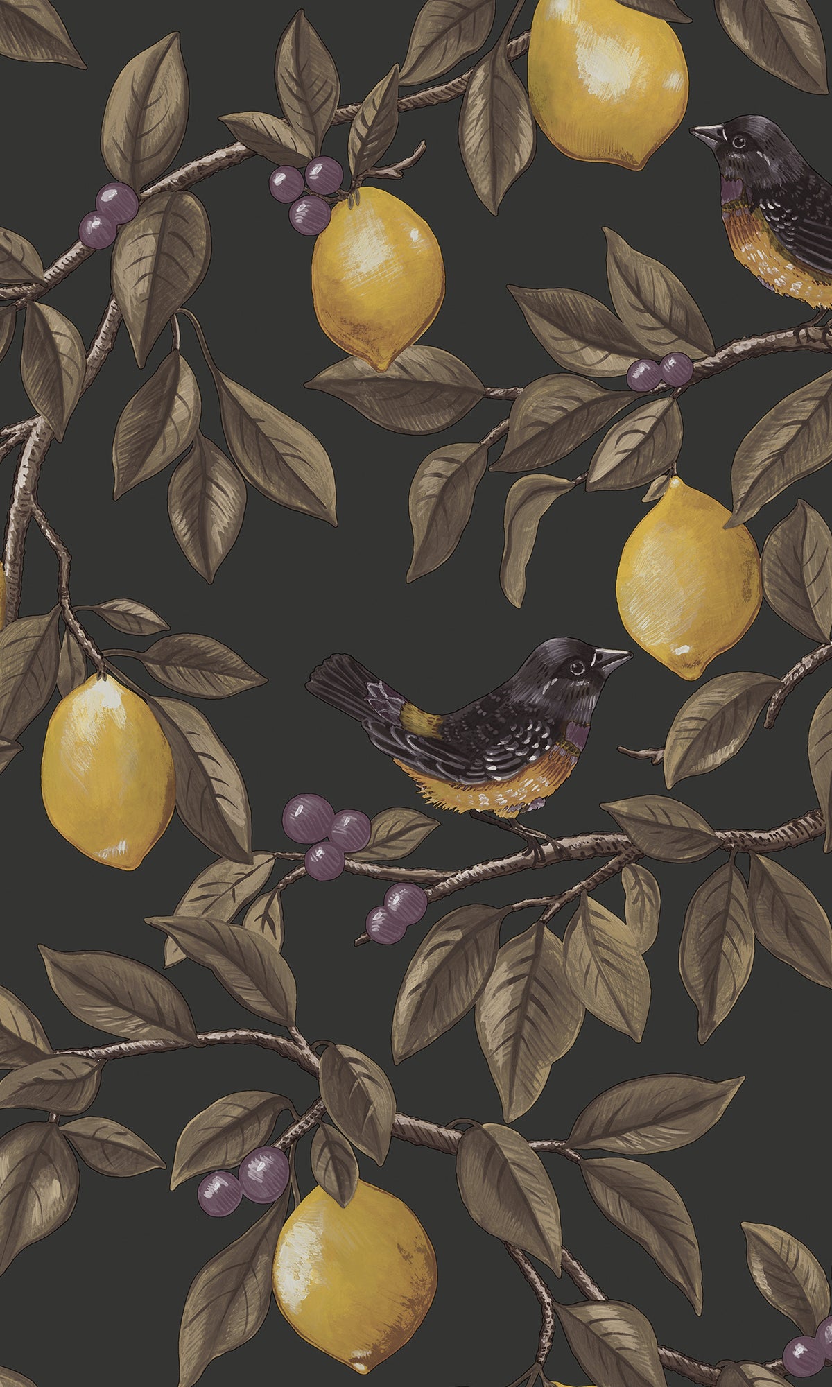 Charcoal Golden Lemon Trail Wallpaper R9634 - Peel and Stick Removable Wallpaper for Bedroom, Living Room, and Office Decor