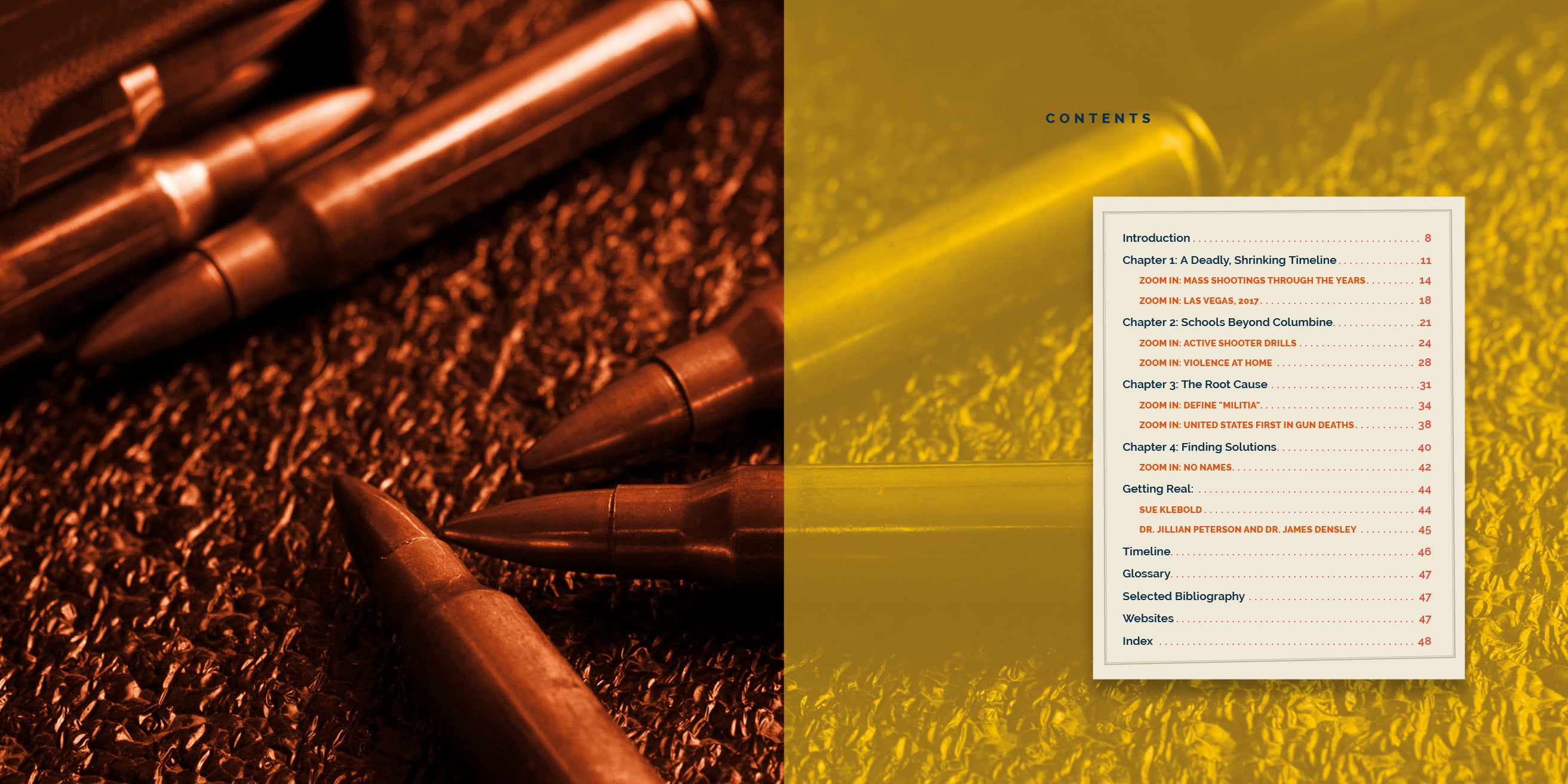Examining Mass Shootings in the US - Causes, Statistics & Prevention Strategies | School Safety & Public Security Analysis