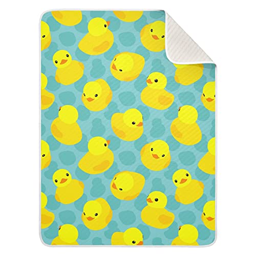 01-duck