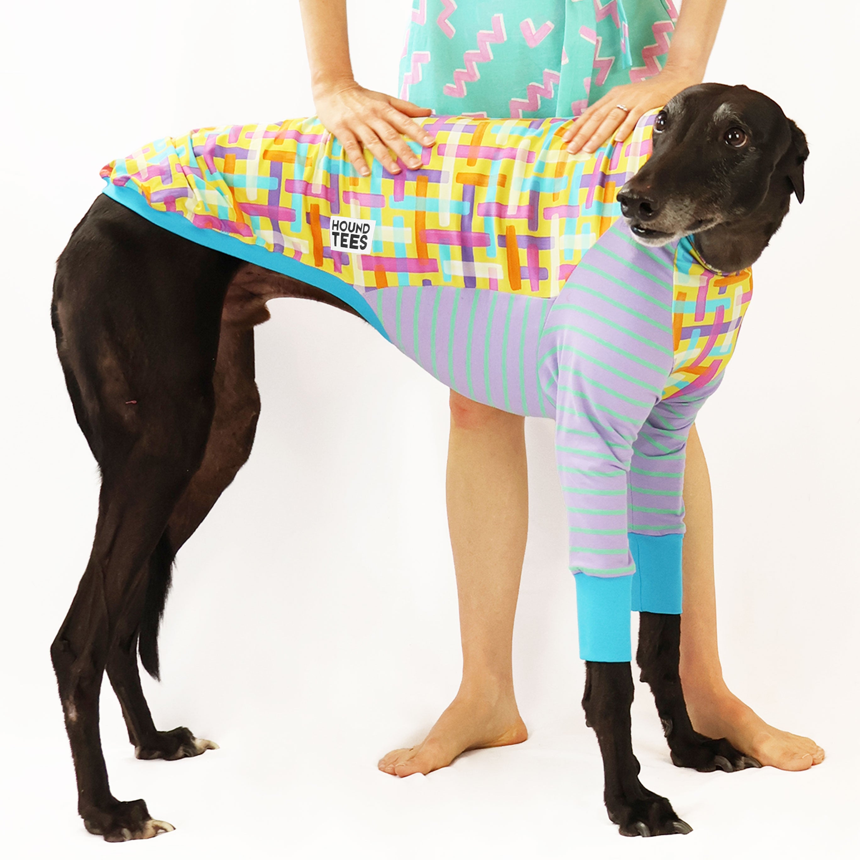 Stylish Broken Gingham Greyhound Print Long Sleeve T-Shirt for Men & Women - Perfect for Casual Wear, Dog Lovers Gift, and Everyday Outfits