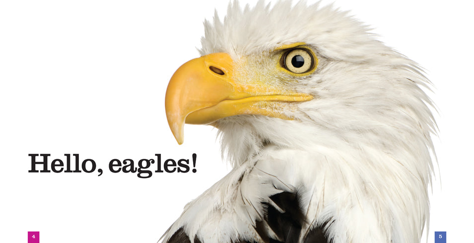 Eagles Book 978-1-60818-453-8 - Wildlife Nature Reading for Bird Lovers & Outdoor Enthusiasts