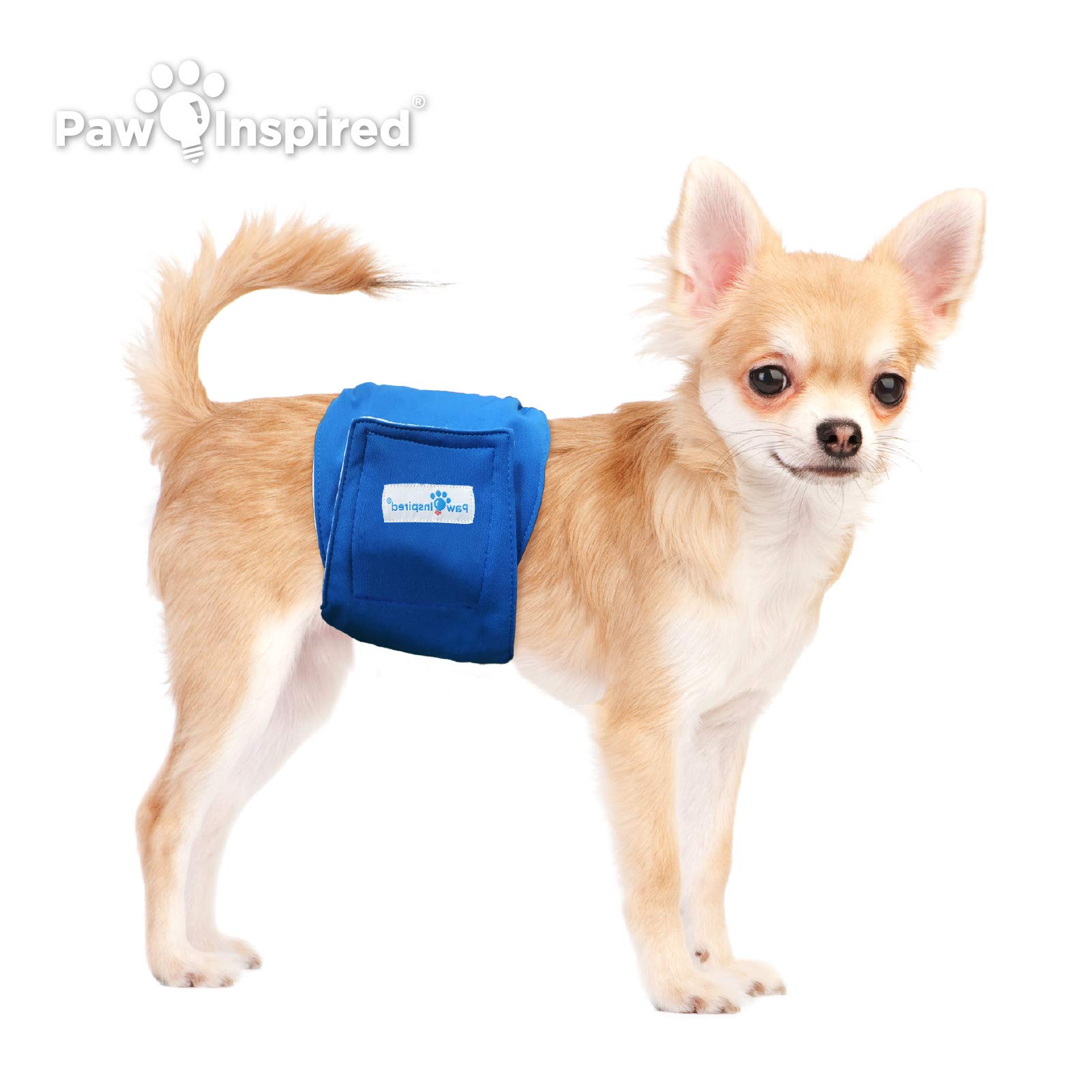 Paw Inspired Washable Dog Diapers for Male Dogs - Ultra Protection Reusable Pet Wraps (3 Pack, X-Small) - Perfect for House Training, Travel & Senior Dogs