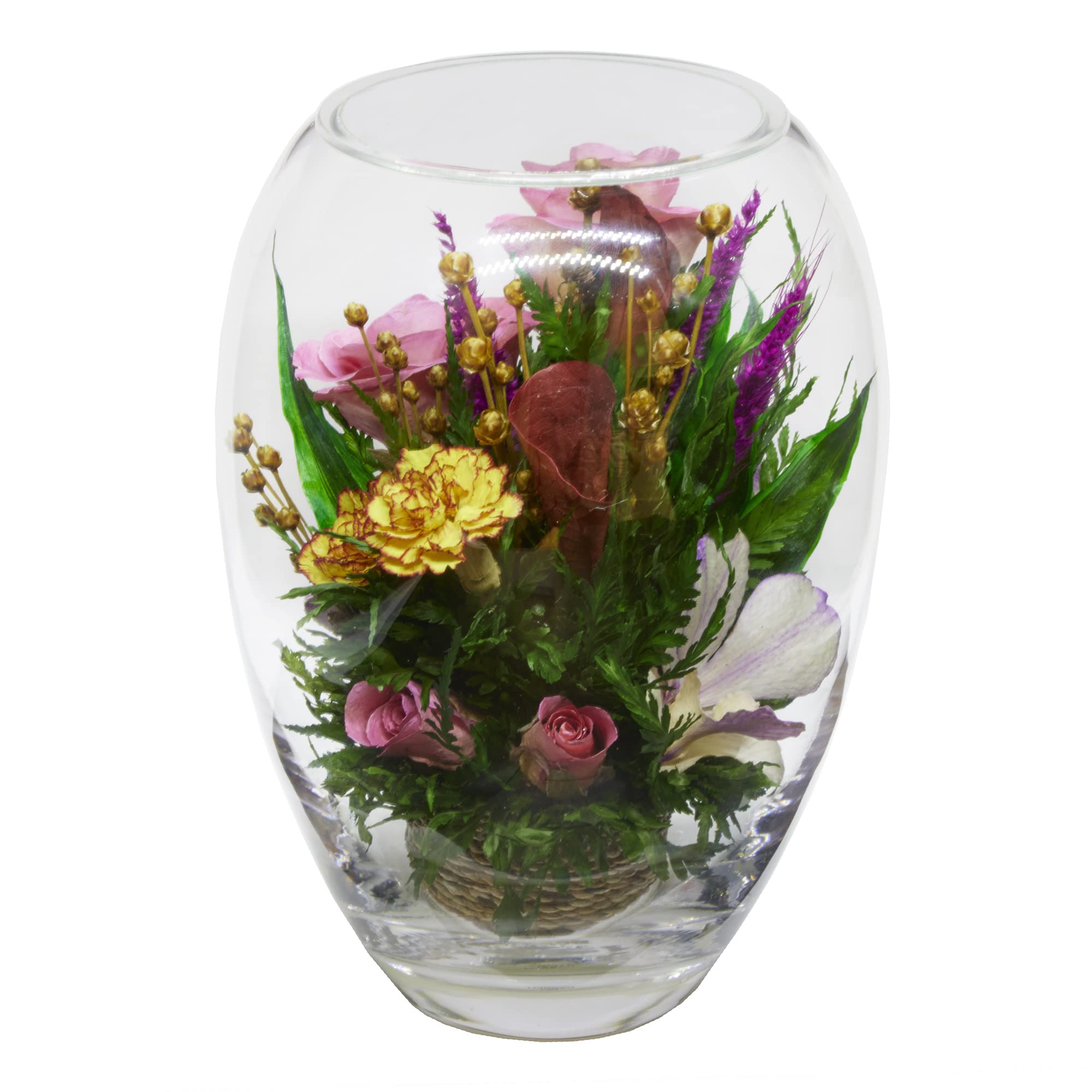 Luxury Preserved Orchid Arrangement in Glass Vase - Long-Lasting Silk Flowers for Anniversary, Wedding, Corporate Gifts - Perfect for Home Decor, Office Centerpiece & Special Occasions