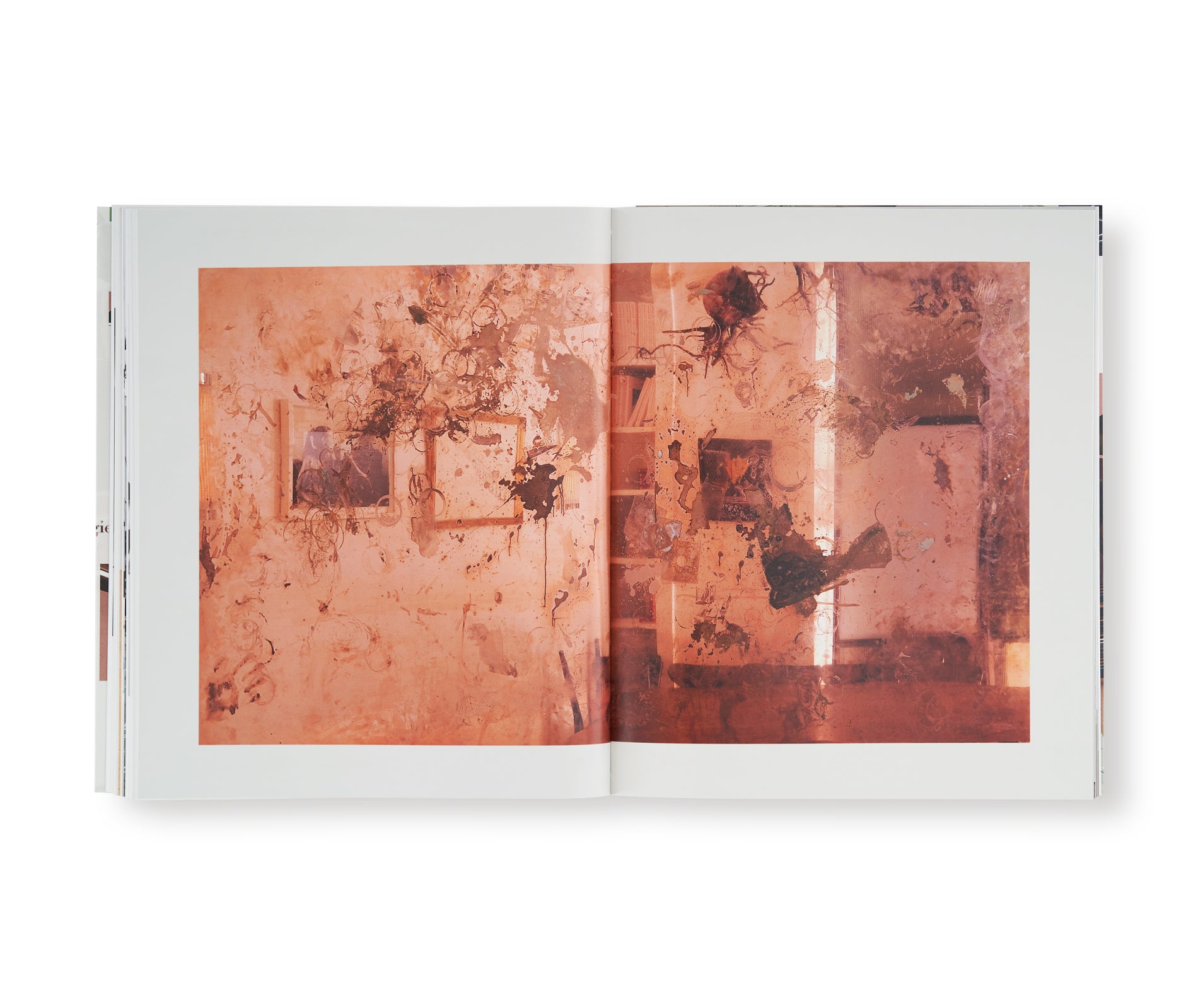 NATURAL HISTORIES by Walead Beshty - Art Photography Book for Collectors & Enthusiasts - Perfect for Home Decor, Coffee Table Display & Gift Giving