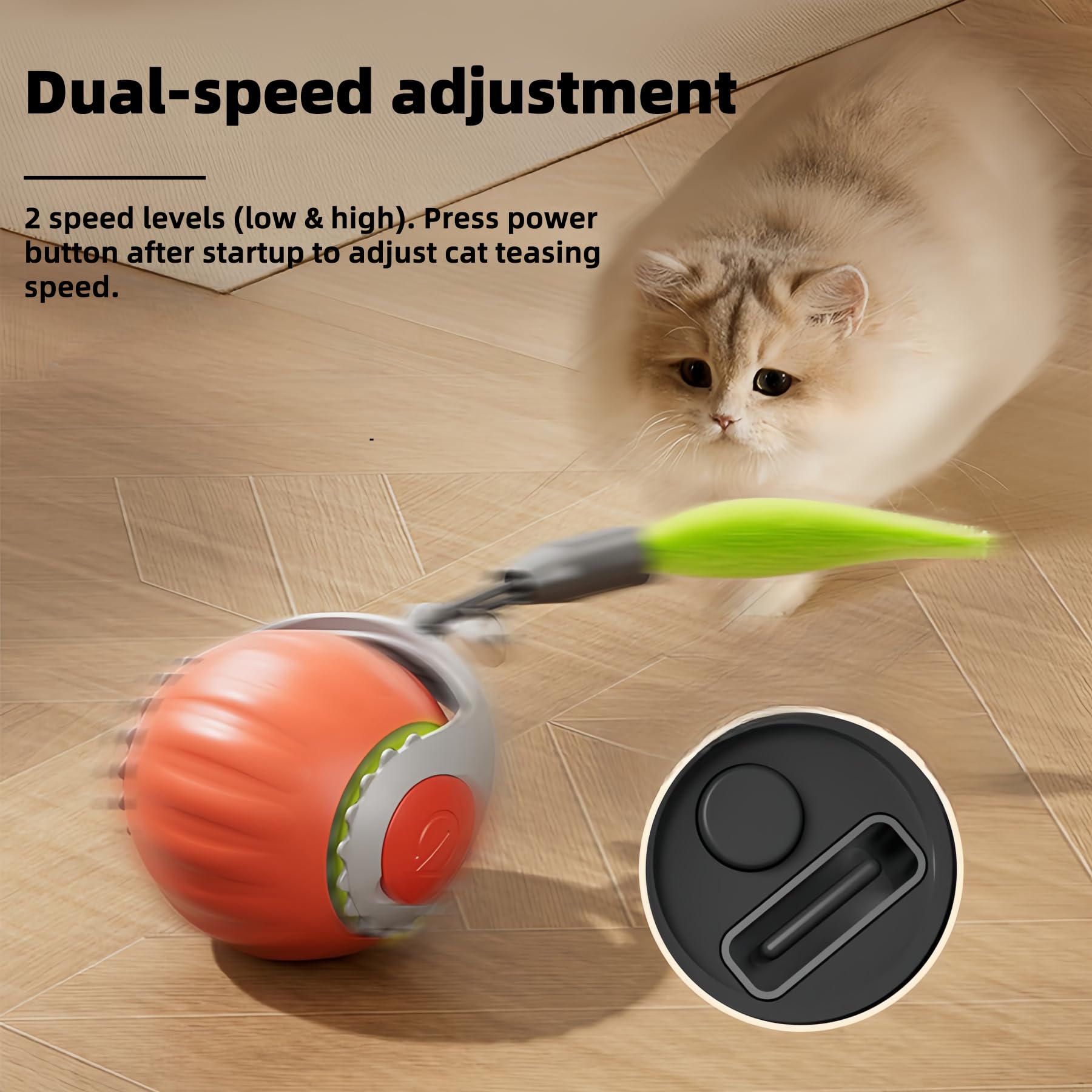 Upgraded Racing Tail 5.0 Interactive Cat Toy - Automatic Sensor Teaser Ball with 2 Modes for Indoor Cats | Electronic Chasing Exercise Toy to Entertain Bored Pets | Perfect for Playtime, Training & Stimulation