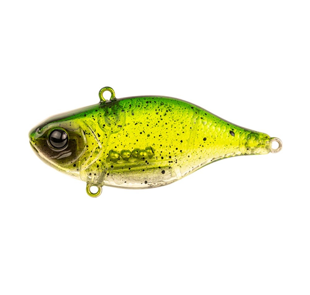 Emerald Shiner