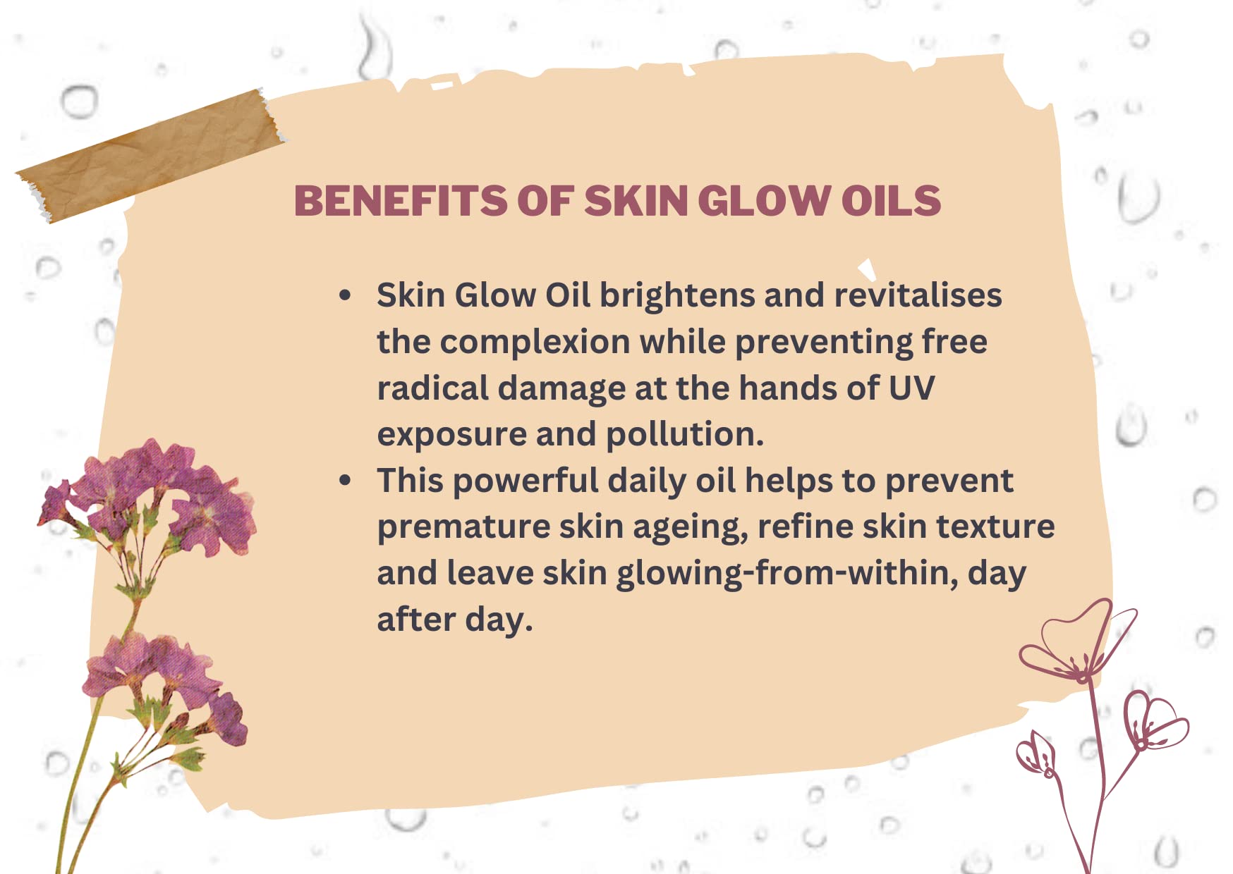 BLISSFUL DROPS Skin Glow Oil - Anti-Aging Facial Oil for Youthful Radiance | Daily Hydration & Wrinkle Prevention | Perfect for Dry Skin & Nighttime Skincare Routine
