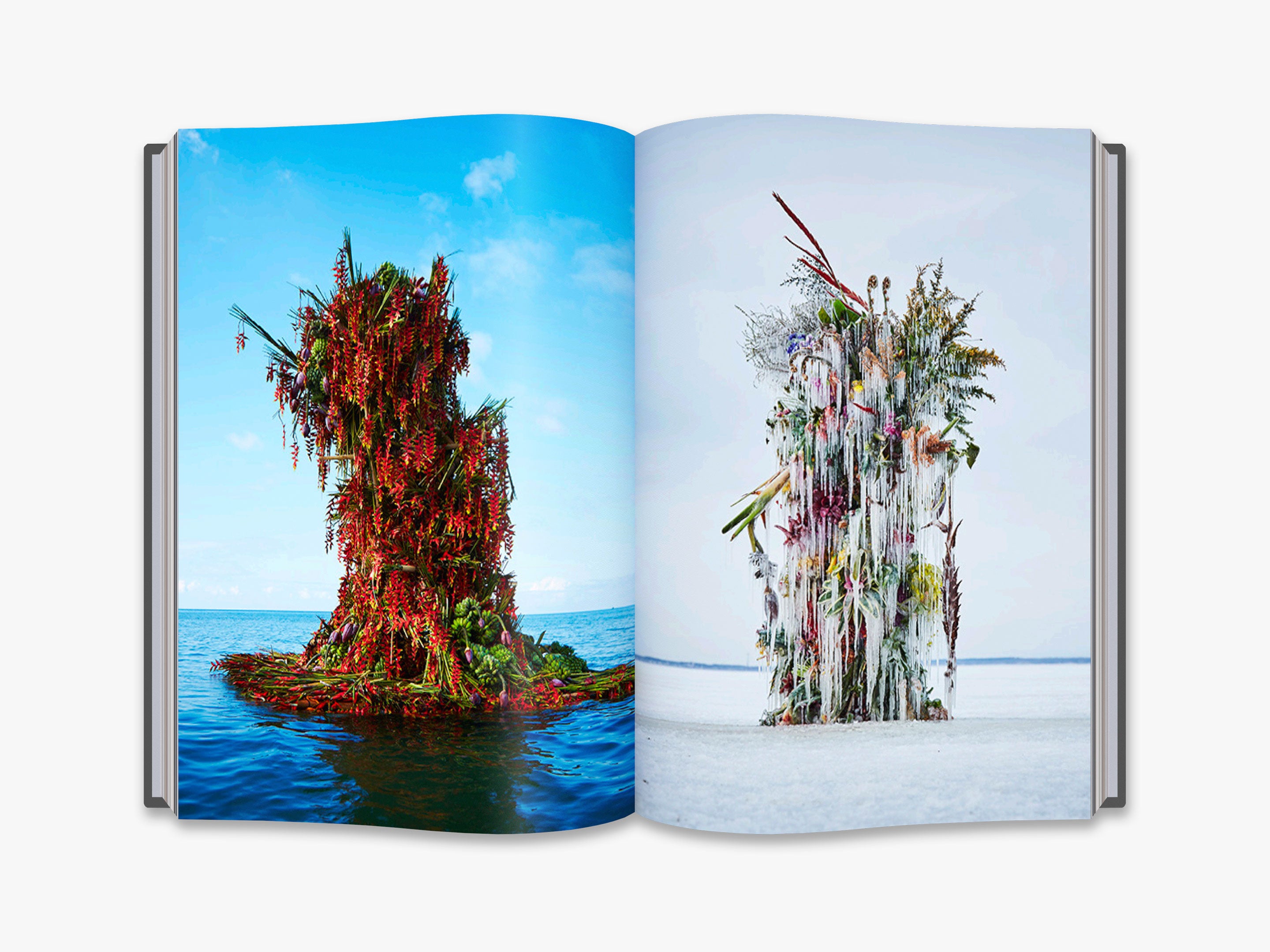 Makoto Azuma Flower Art - Unique Botanical Sculptures & Floral Arrangements for Home Decor, Wedding Centerpieces & Modern Art Displays