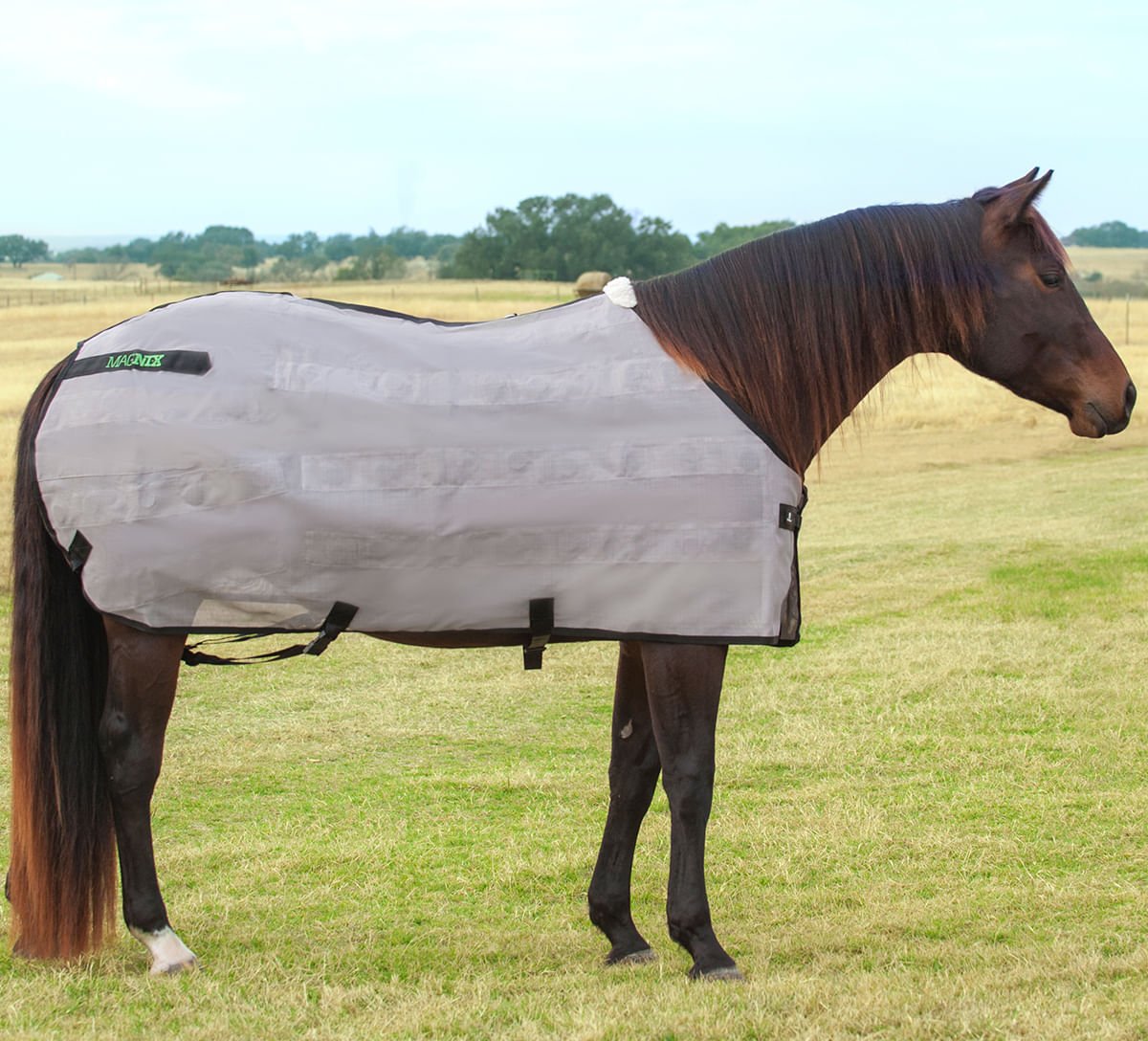 Classic Equine MagNTX Magnetic Therapy Horse Blanket - Relieve Pain & Improve Circulation for Horses - Perfect for Post-Training Recovery & Joint Support