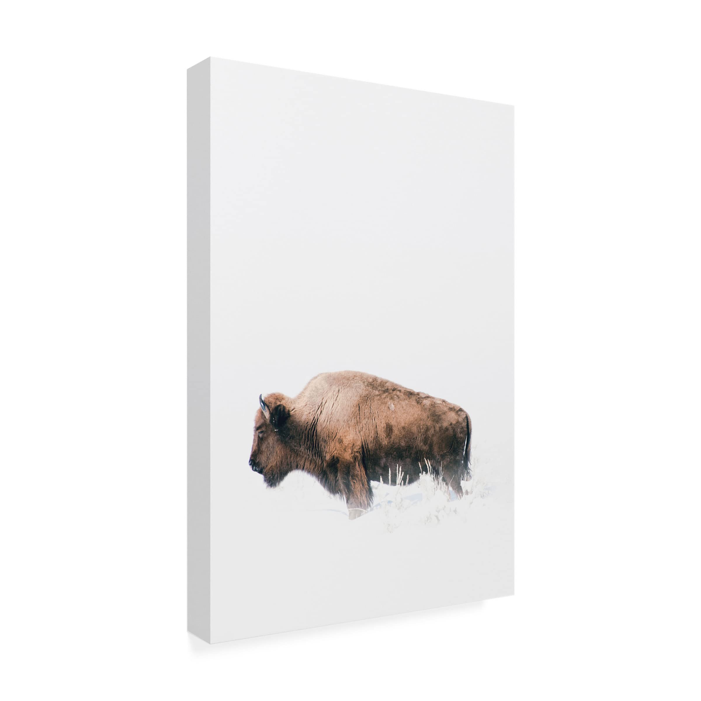 Annie Bailey Art 'Waiting' Canvas Wall Art Print - Elegant Home Decor for Living Room, Bedroom & Office | Trademark Fine Art Collection