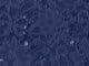 Mariner Navy