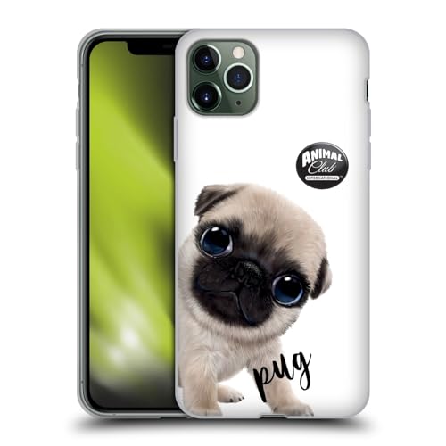 Pug