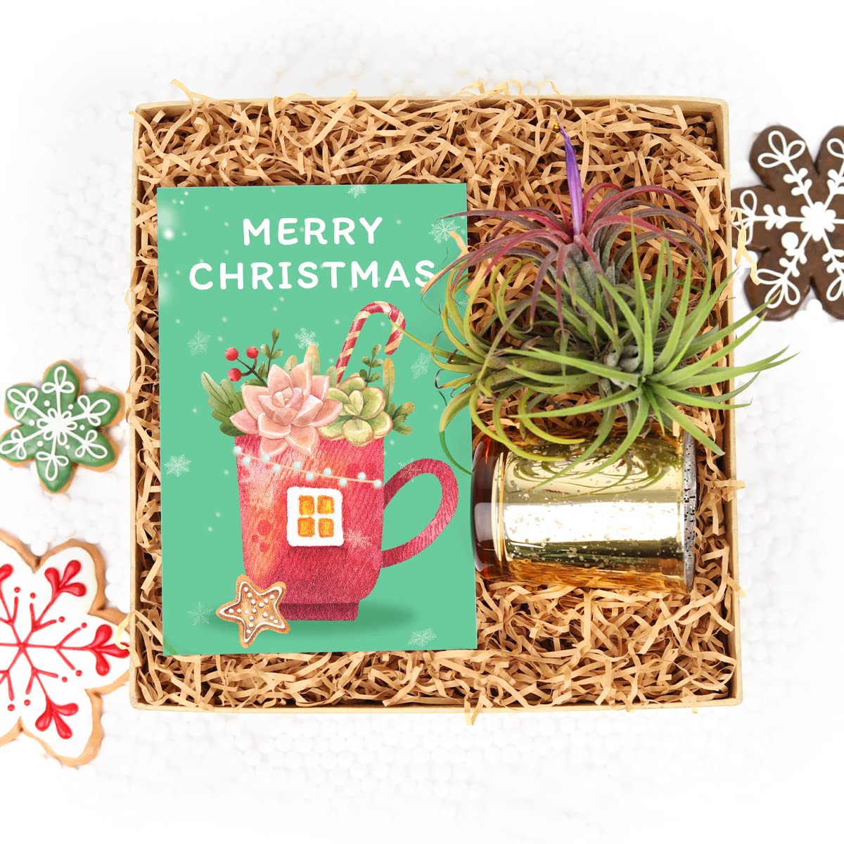 Air Plant Gift Box with Thank You Greeting Card - Unique Tillandsia Gift Set for Plant Lovers - Perfect Birthday, Anniversary & Housewarming Present for Him or Her - Ideal for Home Decor, Office Desk & Wedding Favors